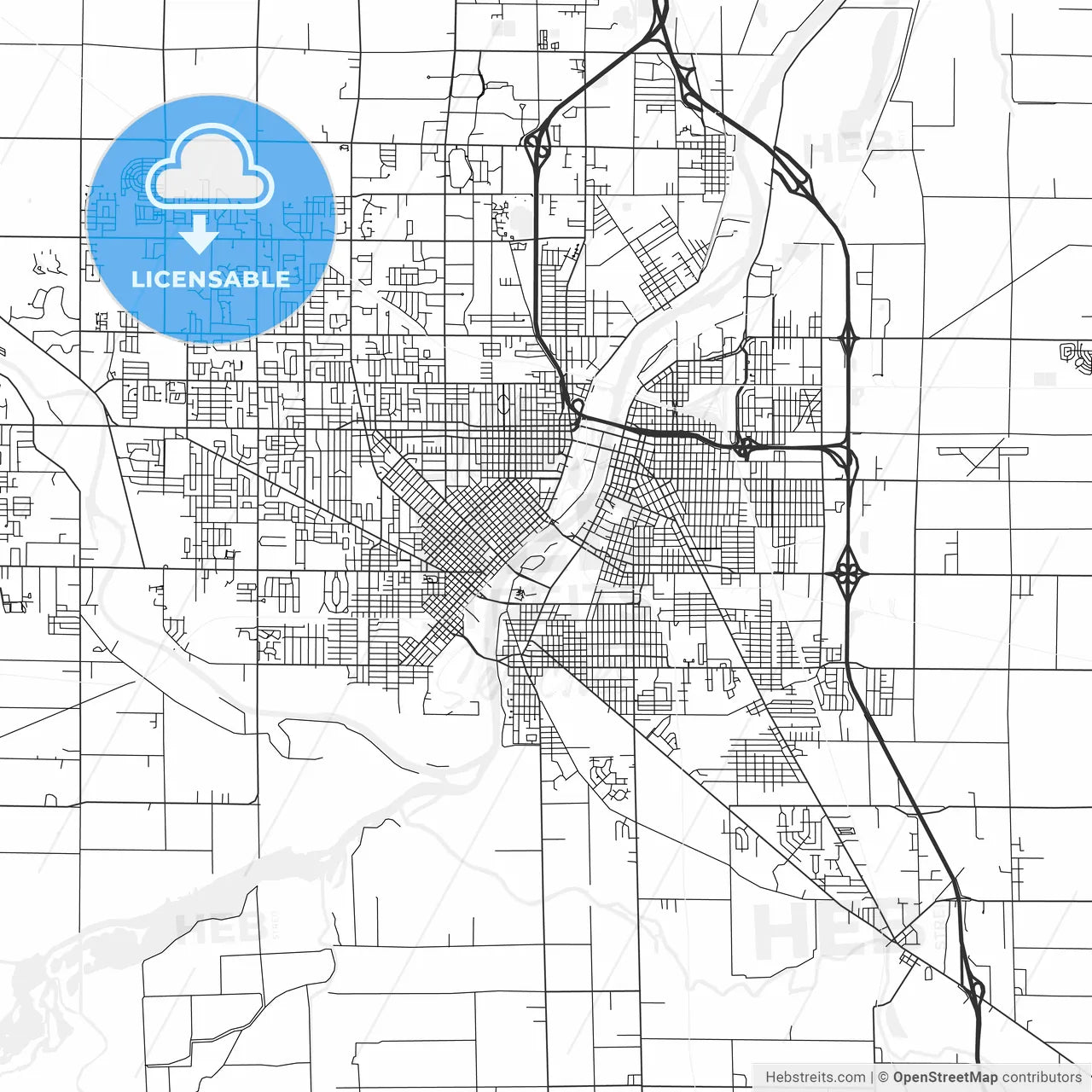 Saginaw, Michigan - Area Map - Light