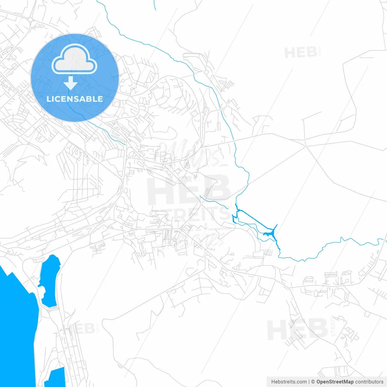Petropavlovsk-Kamchatsky, Russia bright two-toned vector map