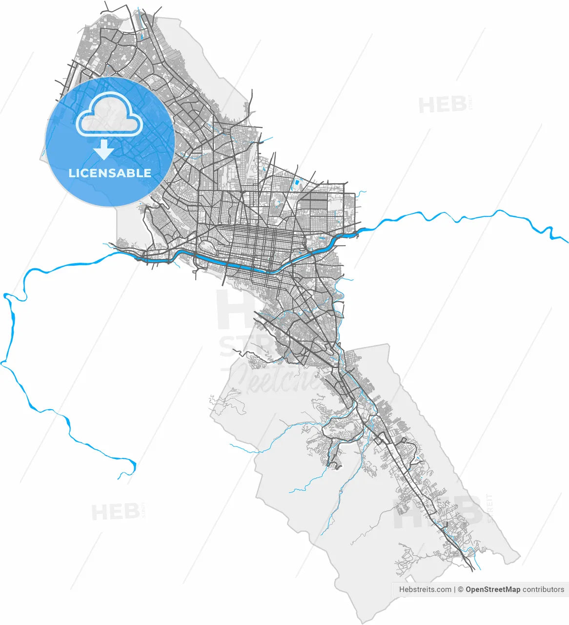 Monterrey, Nuevo León, Mexico, high resolution vector map - Instant download PDF and JPG