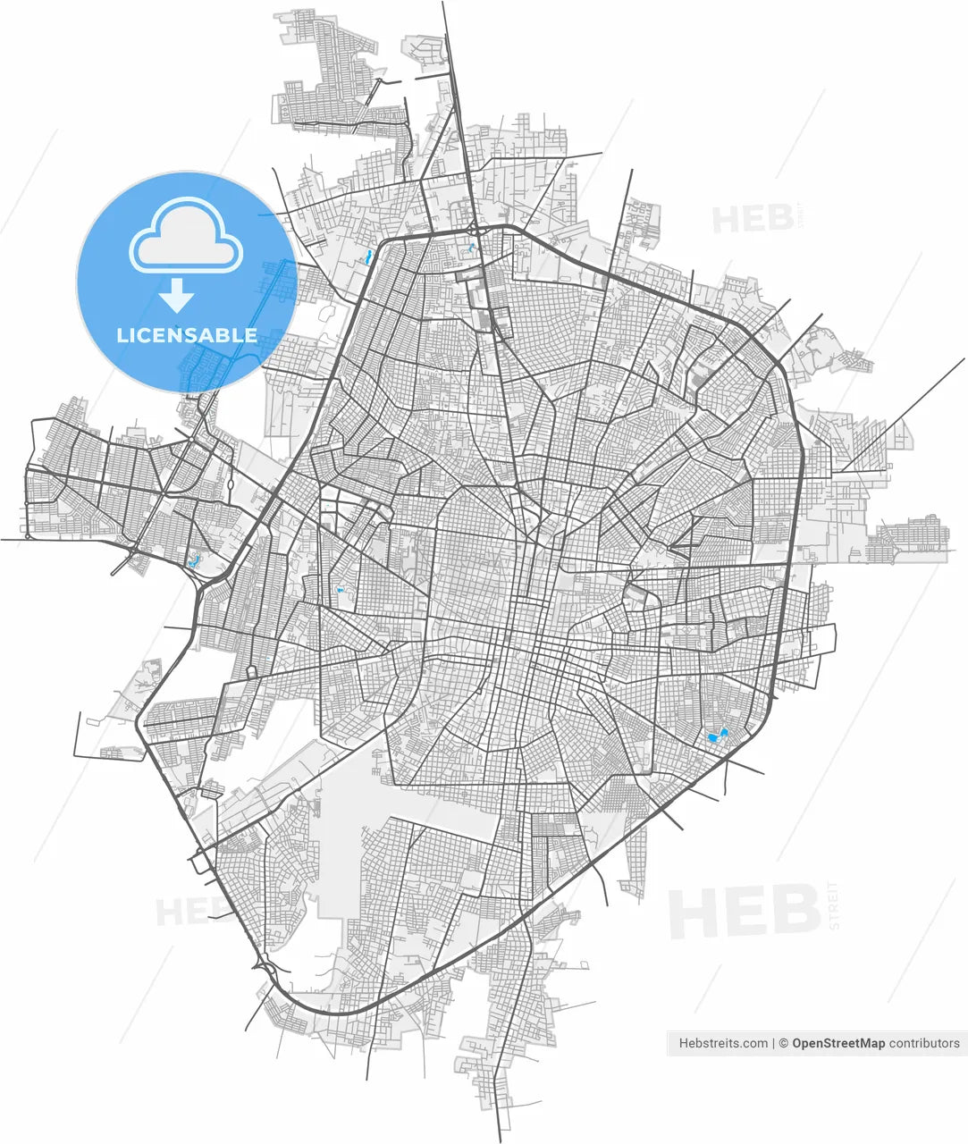 Mérida, Yucatán, Mexico, high resolution vector map - Instant download PDF and JPG
