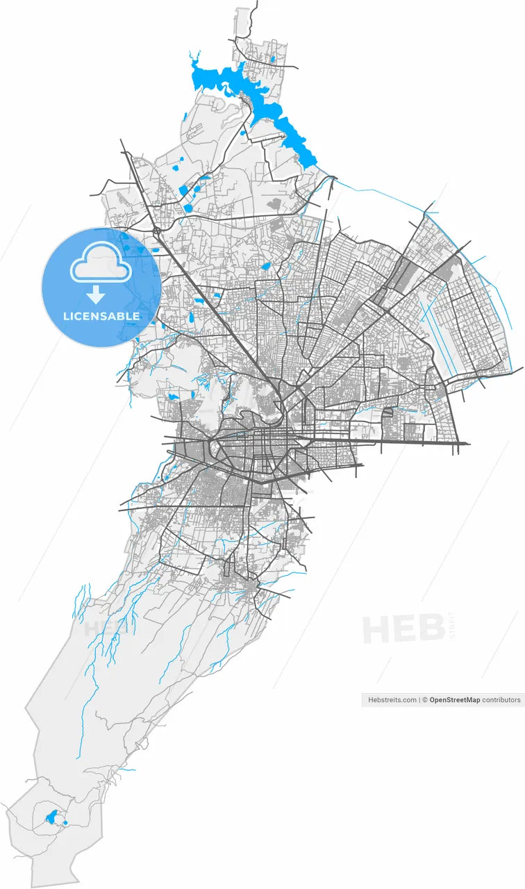 Toluca, México, Mexico, high resolution vector map - Instant download PDF and JPG