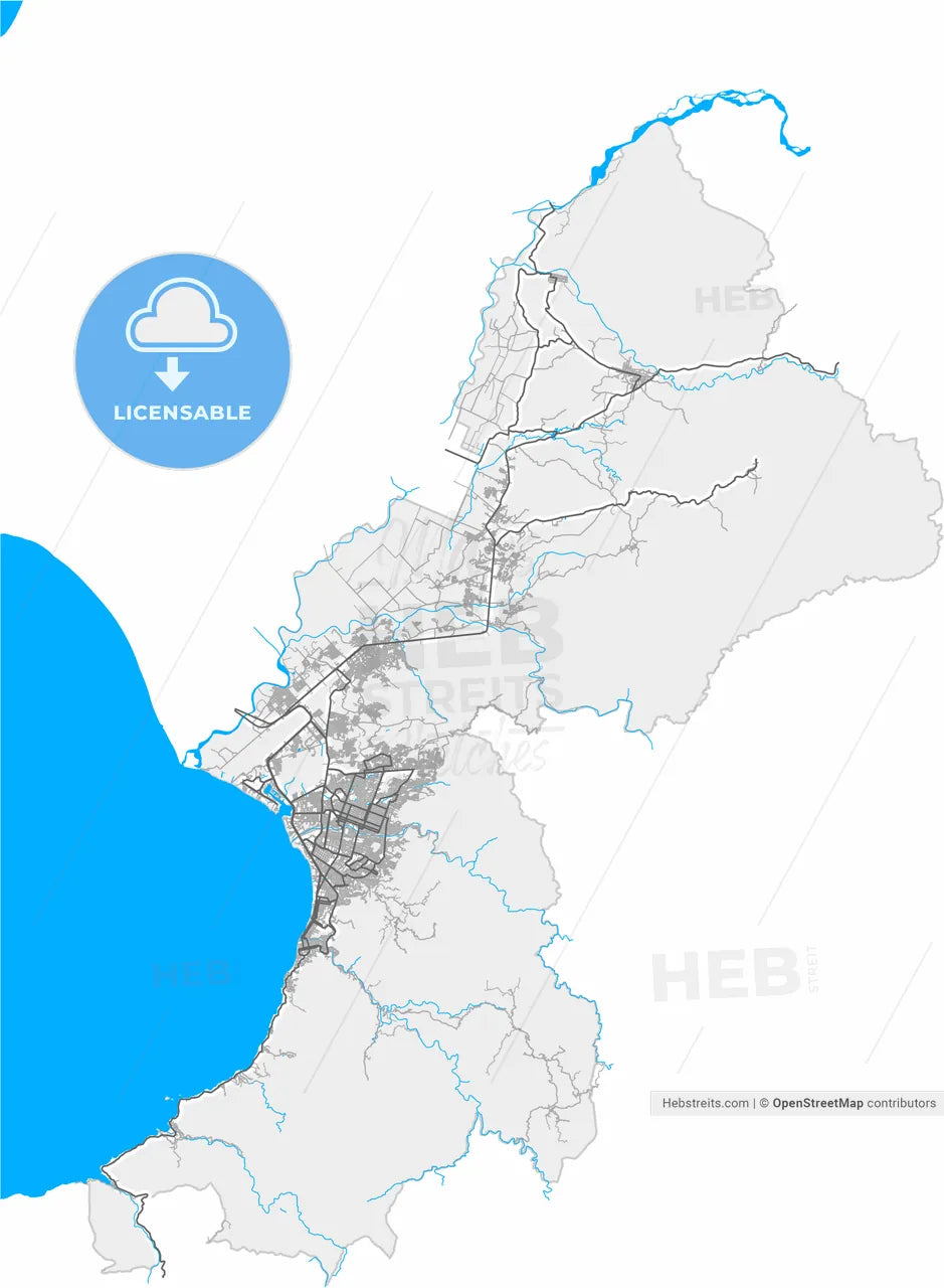 Puerto Vallarta, Jalisco, Mexico, high resolution vector map - Instant download PDF and JPG