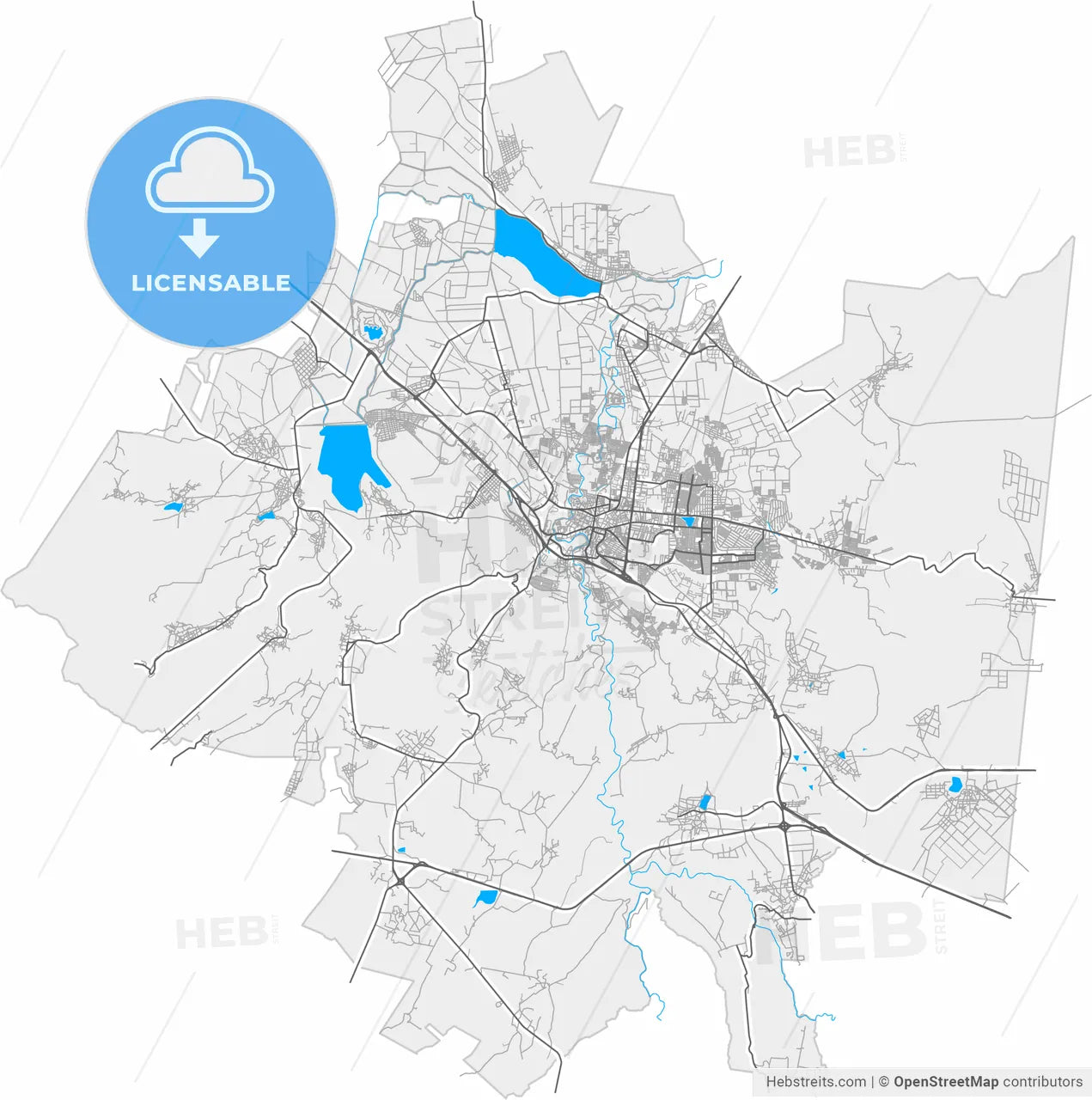 San Juan del Río, Querétaro, Mexico, high resolution vector map - Instant download PDF and JPG
