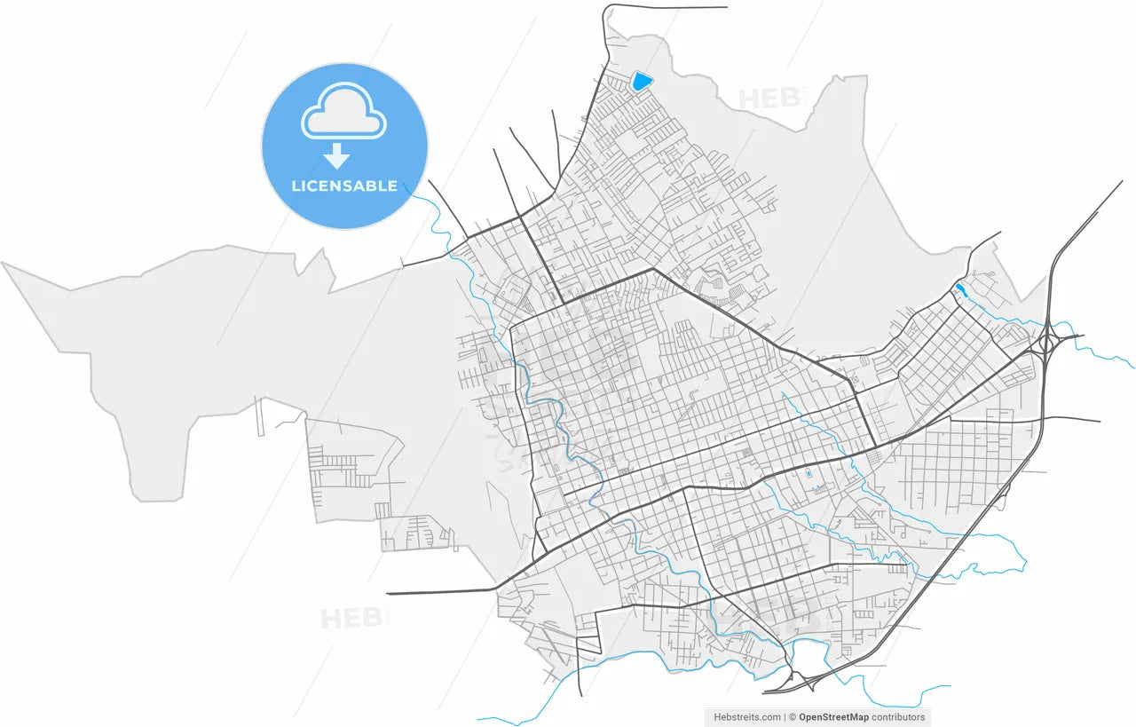 Orizaba, Veracruz, Mexico, high resolution vector map - Instant download PDF and JPG