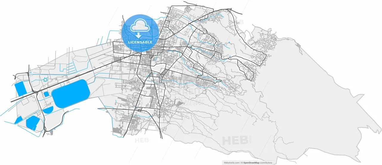 Texcoco, México, Mexico, high resolution vector map - Instant download PDF and JPG