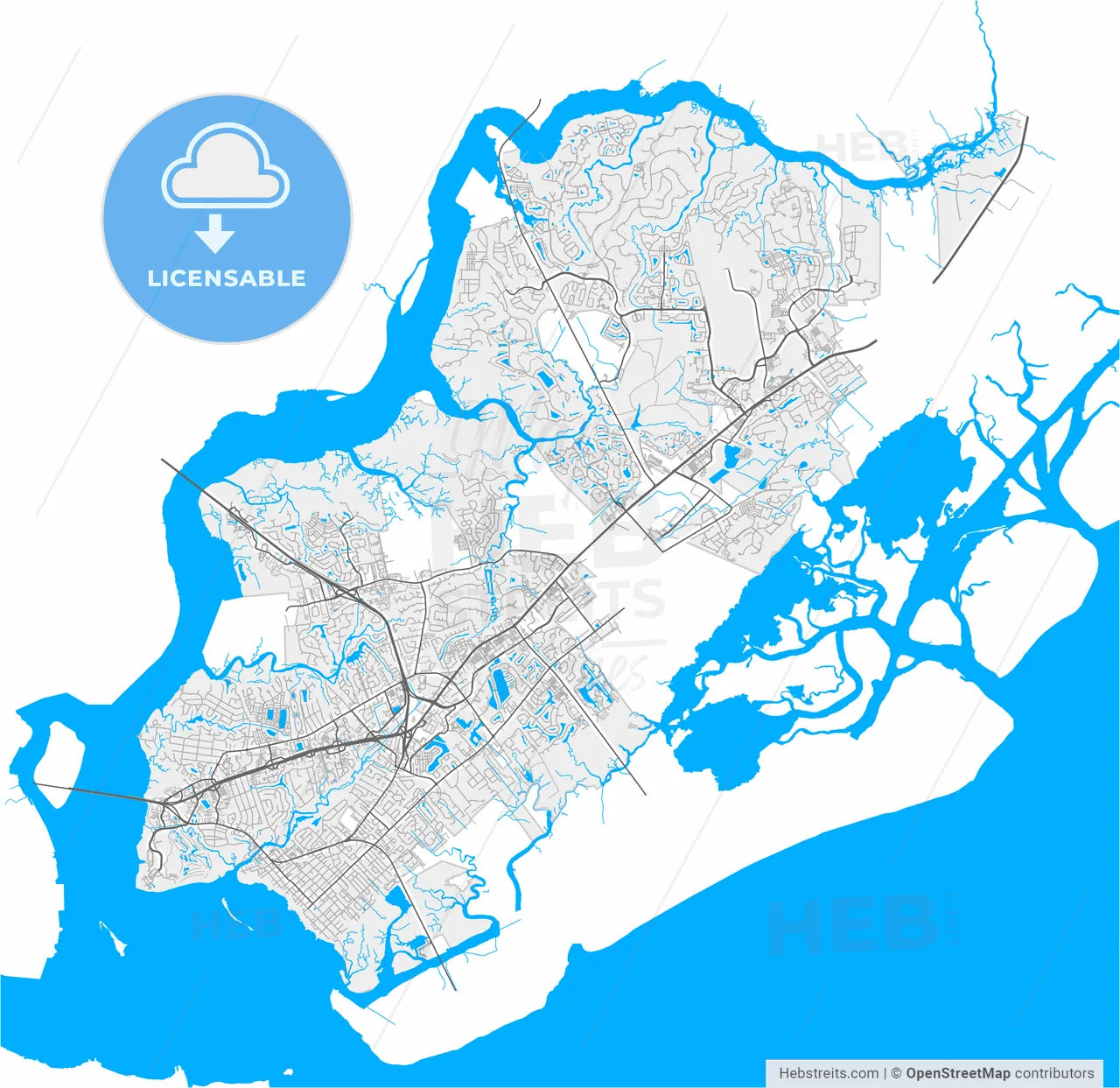 Mount Pleasant, South Carolina, United States, high resolution vector map - Instant download PDF and JPG