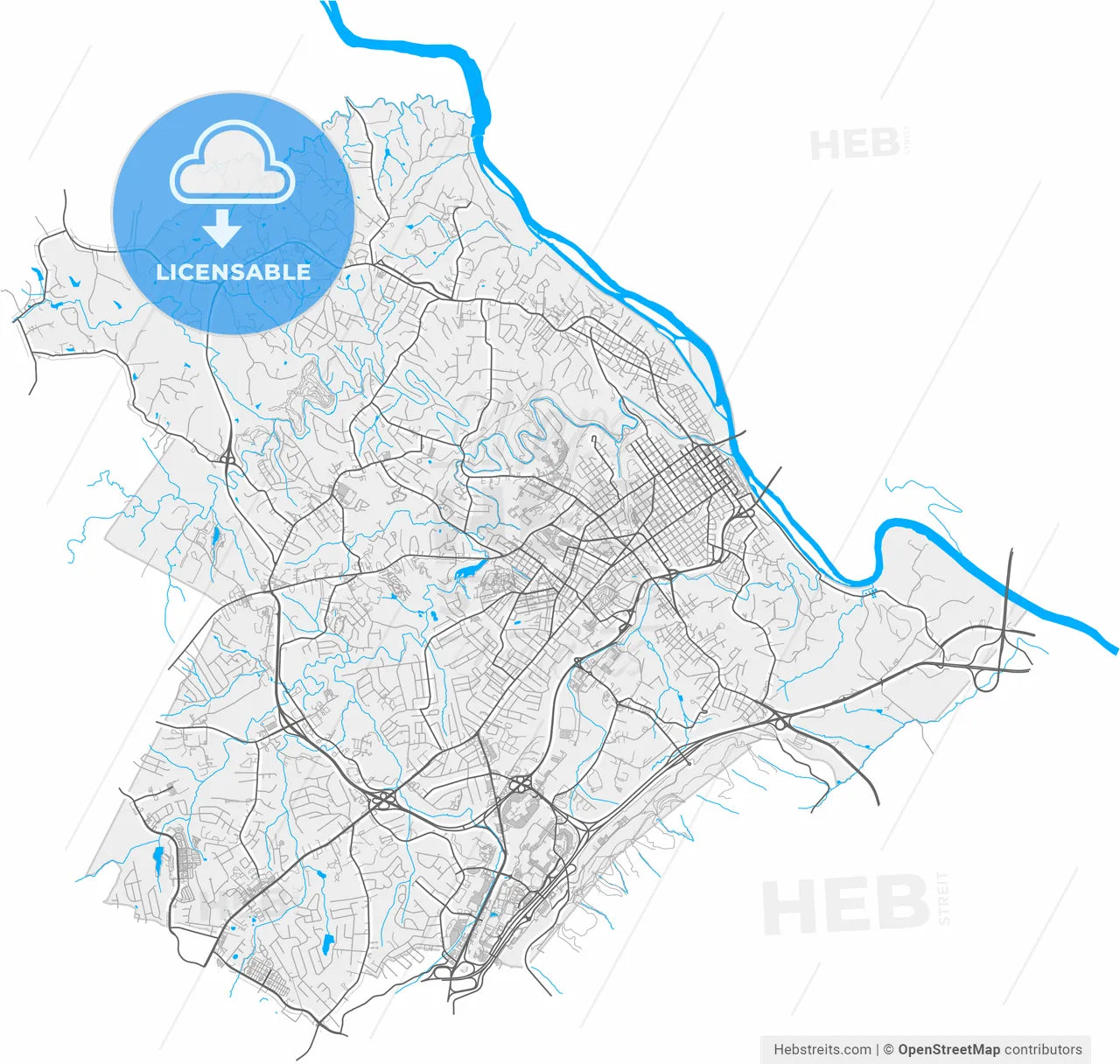 Lynchburg, Virginia, United States, high resolution vector map - Instant download PDF and JPG