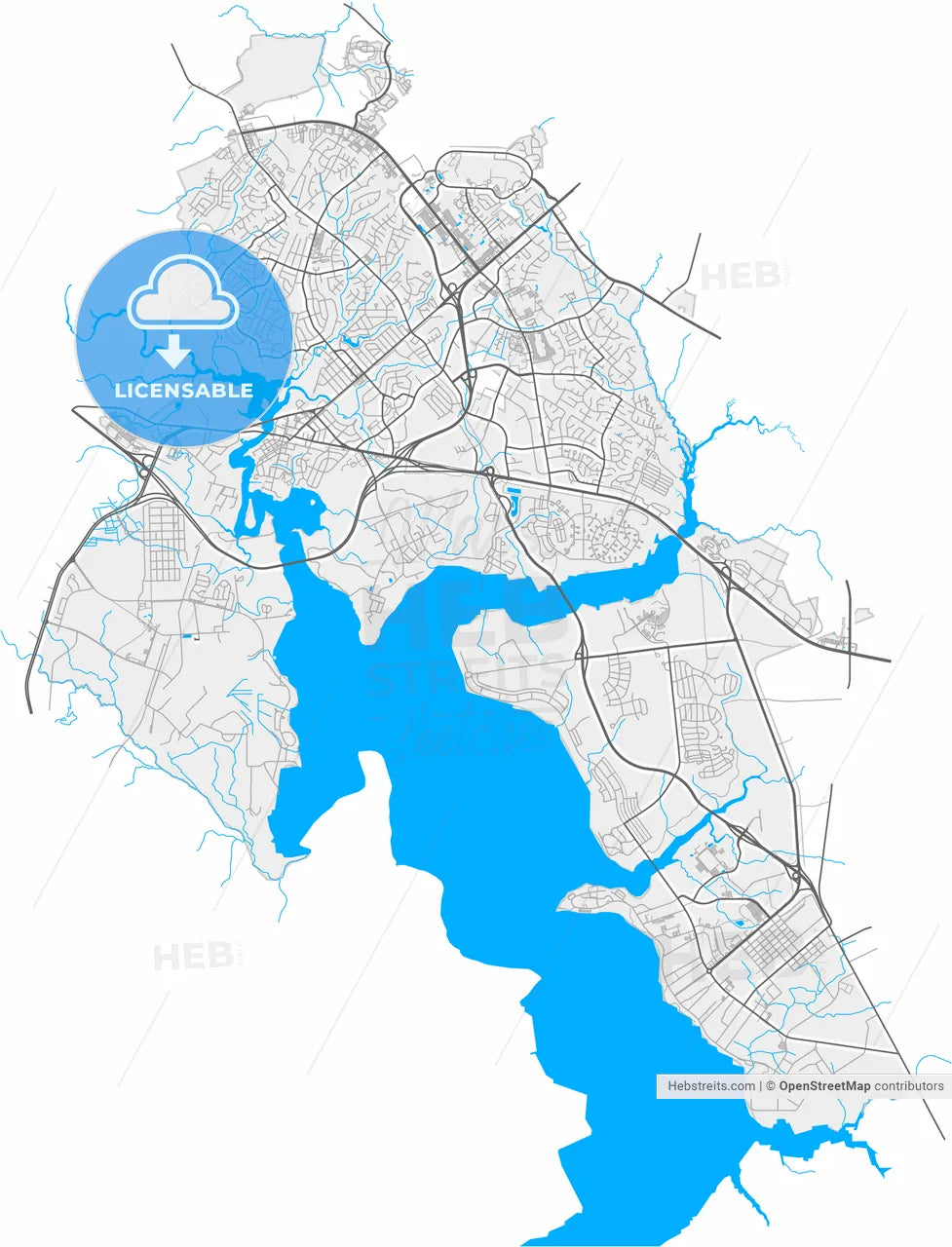 Jacksonville, North Carolina, United States, high resolution vector map - Instant download PDF and JPG