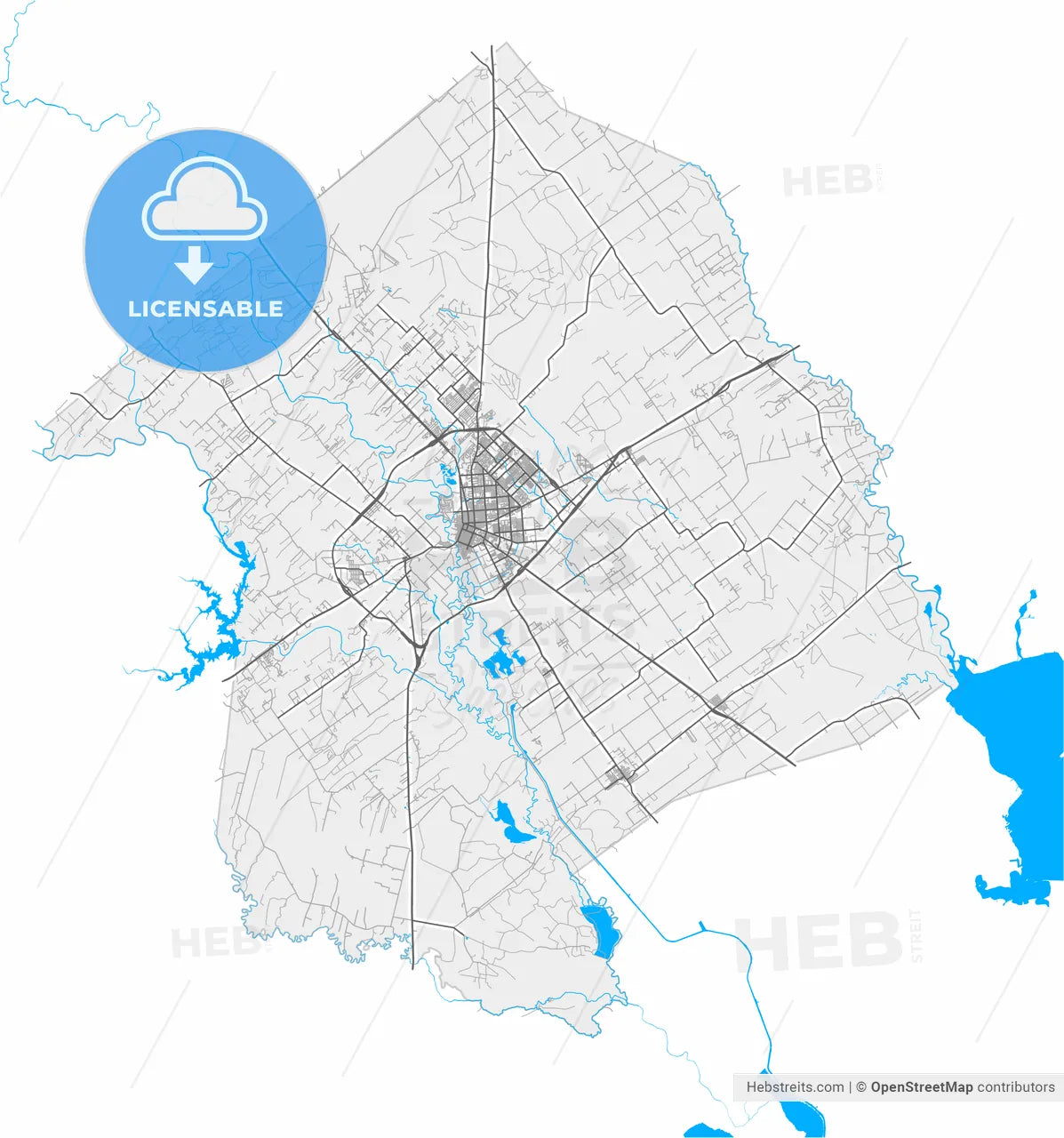 Victoria, Texas, United States, high resolution vector map - Instant download PDF and JPG