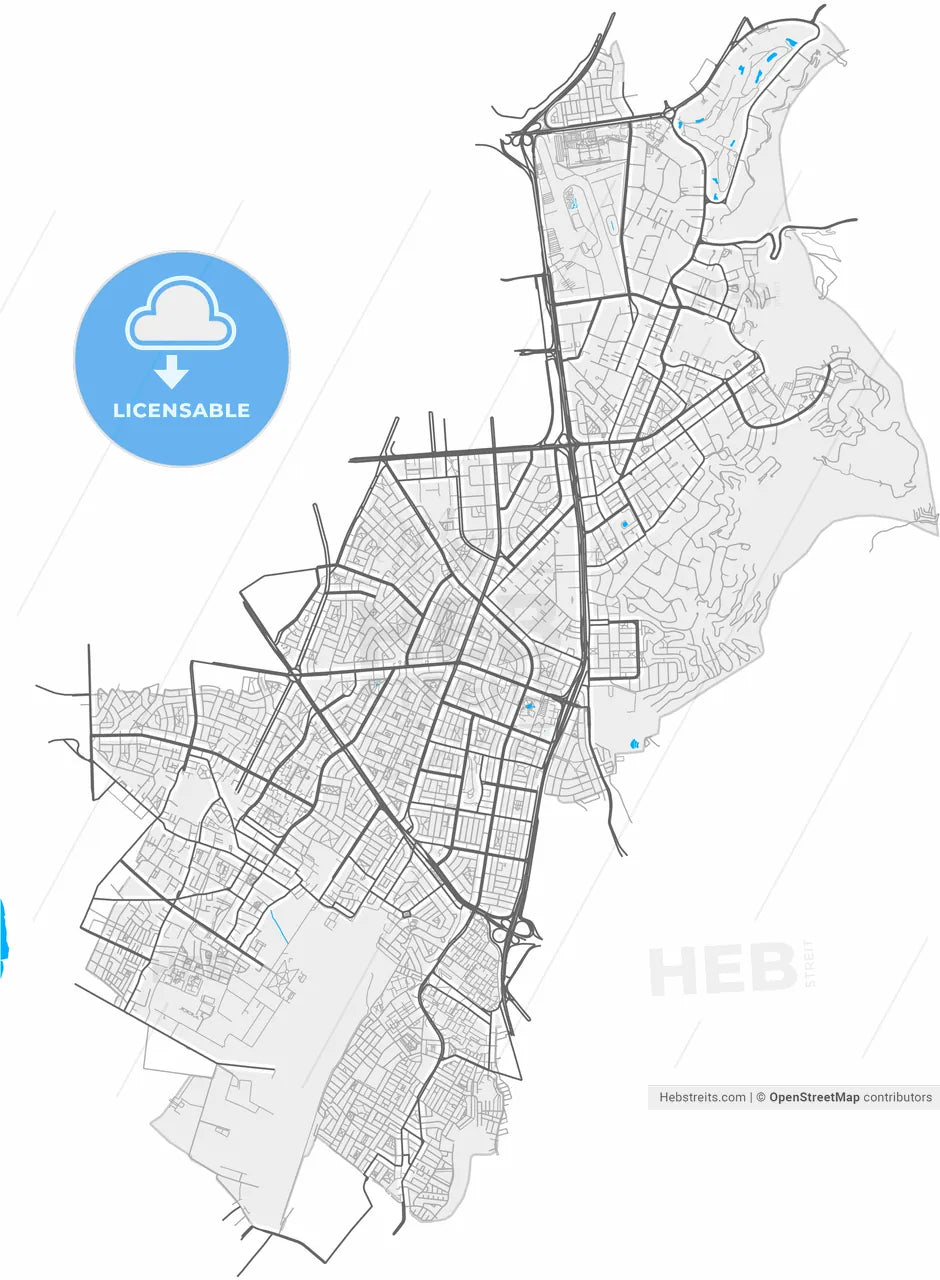 Santiago de Surco, Peru, high resolution vector map - Instant download PDF and JPG