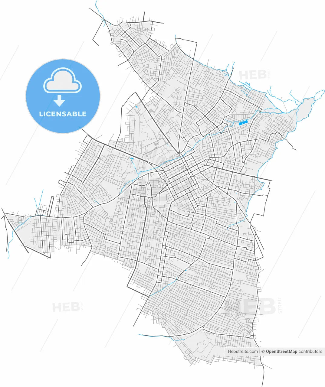 San Lorenzo, Paraguay, high resolution vector map - Instant download PDF and JPG