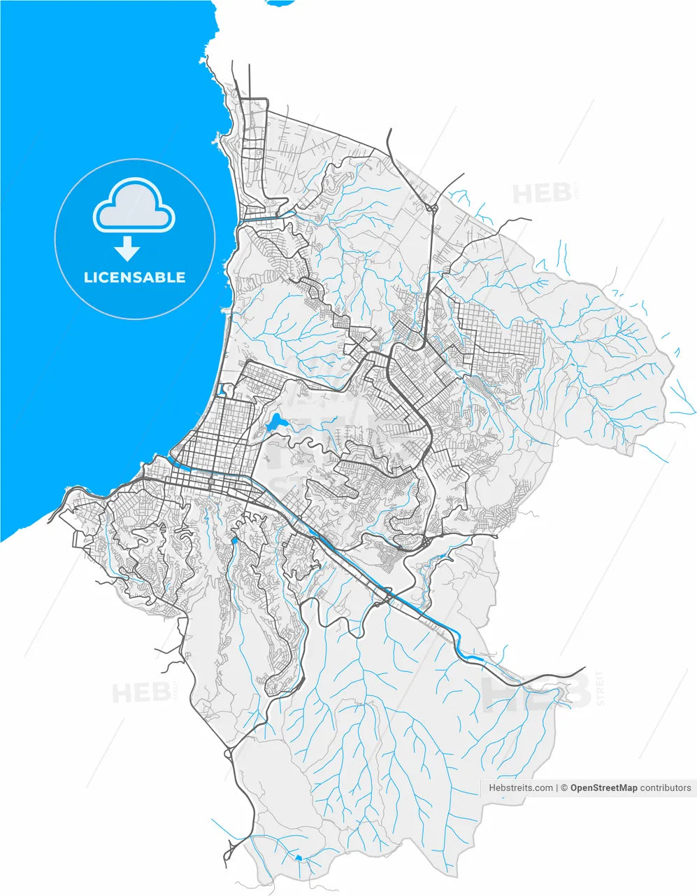 Vina del Mar, Chile, high resolution vector map - Instant download PDF and JPG