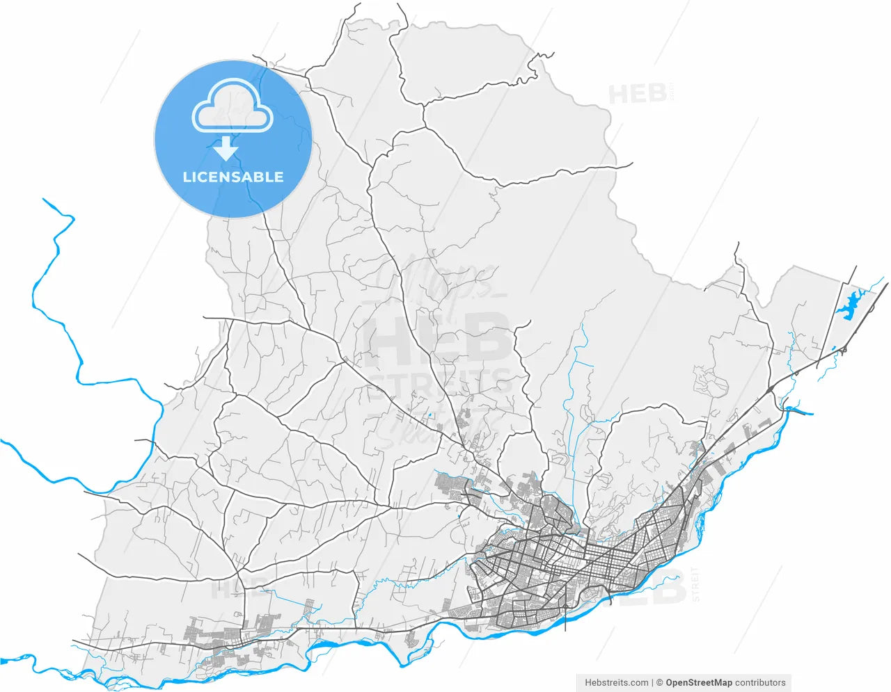 Temuco, Chile, high resolution vector map - Instant download PDF and JPG