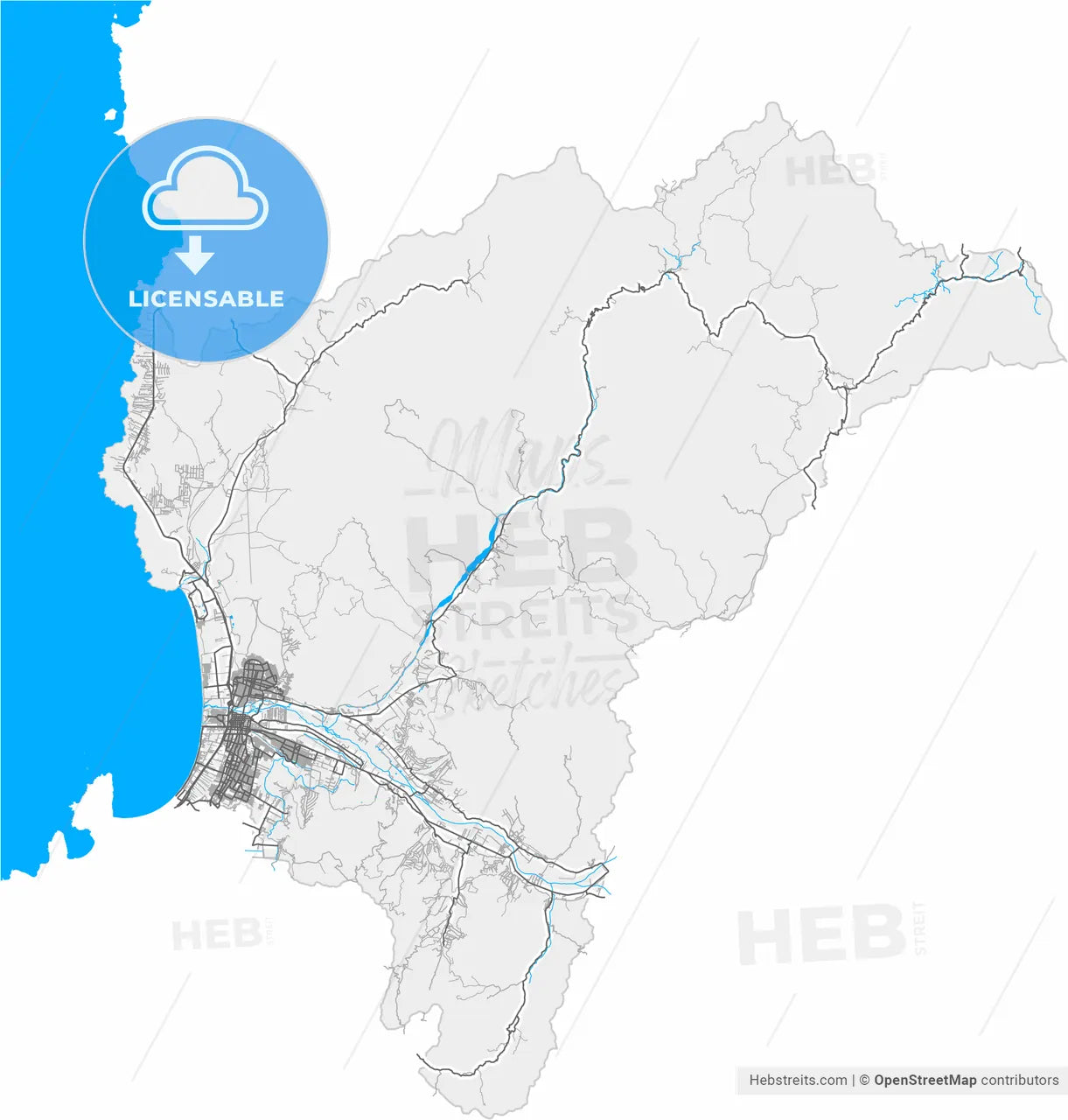 La Serena, Chile, high resolution vector map - Instant download PDF and JPG