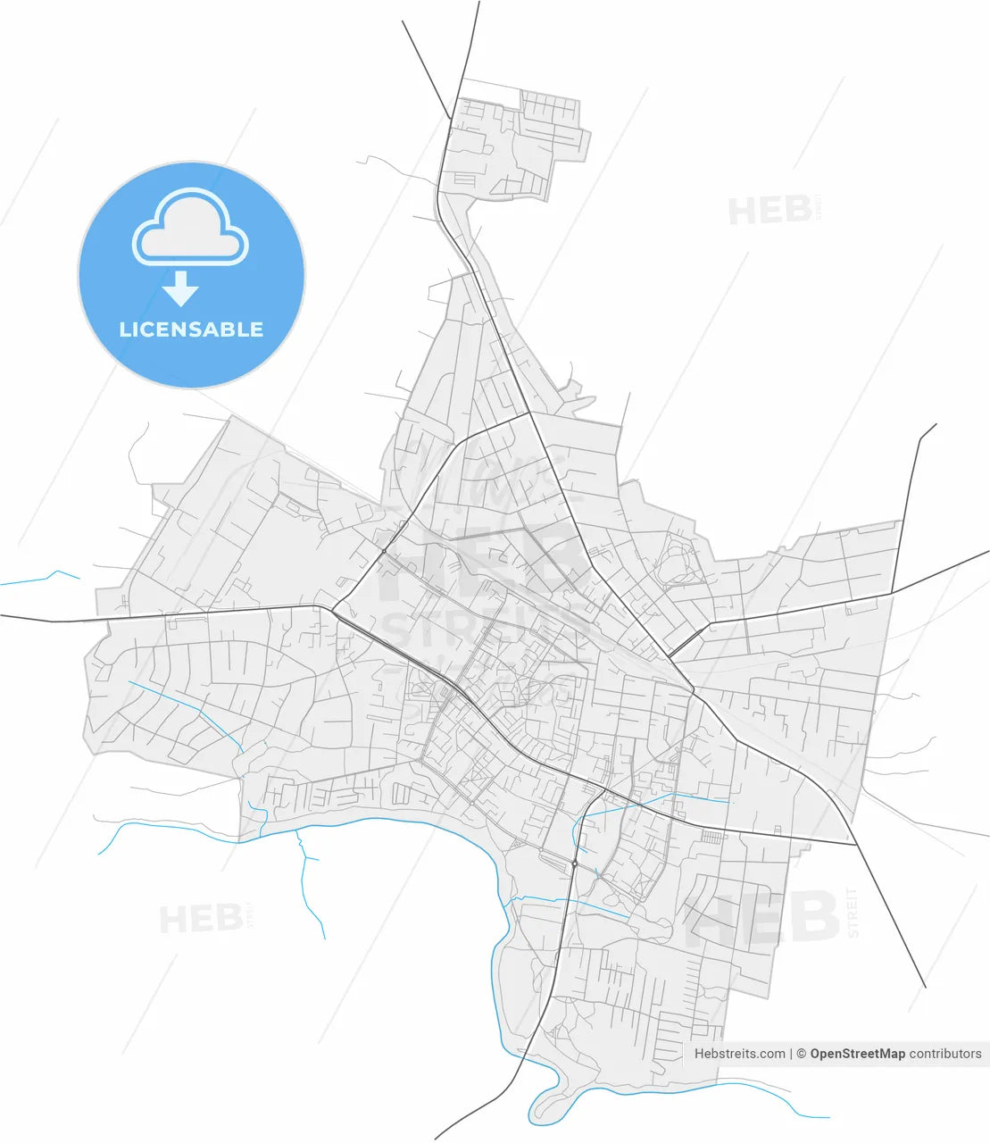 Mažeikiai, Telšiai County, Lithuania, high resolution vector map - Instant download PDF and JPG