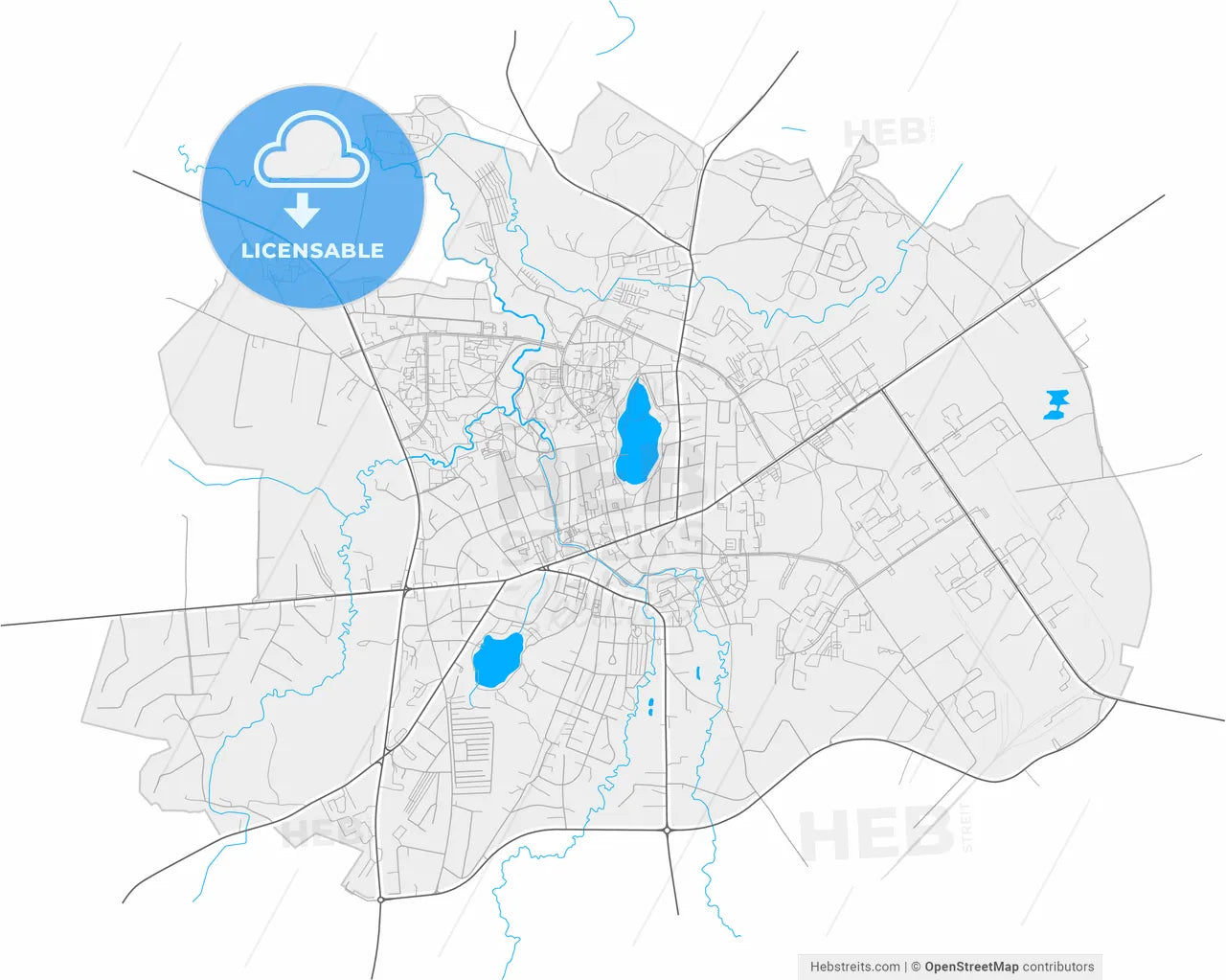 Utena, Utena County, Lithuania, high resolution vector map - Instant download PDF and JPG