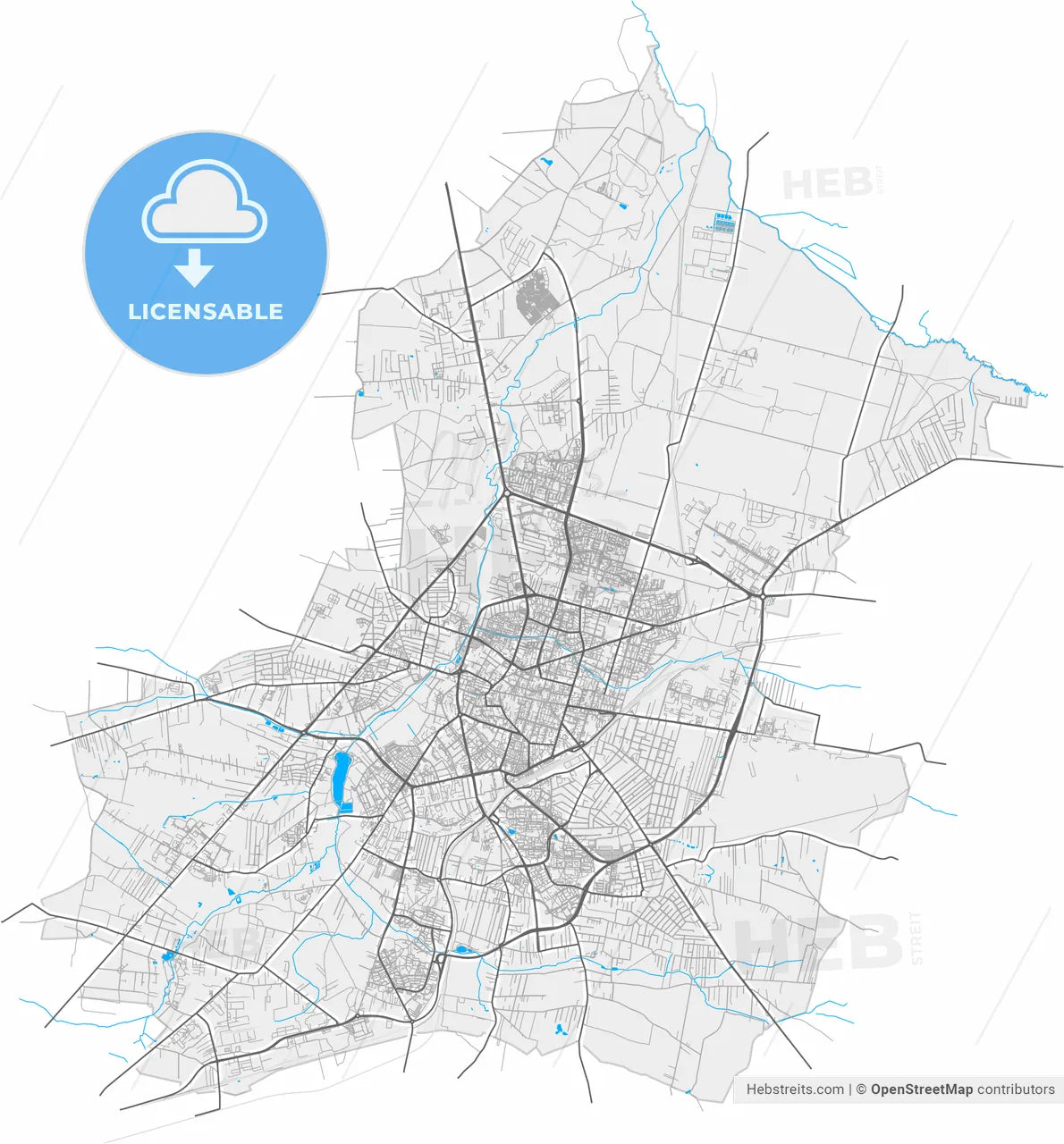 Radom, Masovian, Poland, high resolution vector map - Instant download PDF and JPG