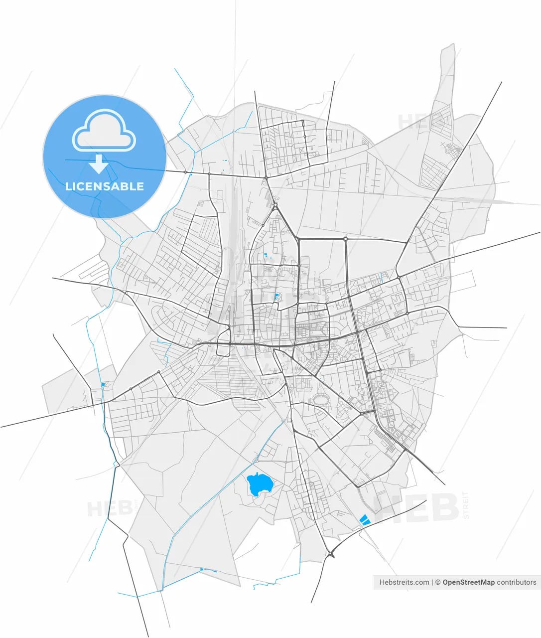 Leszno, Greater Poland, Poland, high resolution vector map - Instant download PDF and JPG