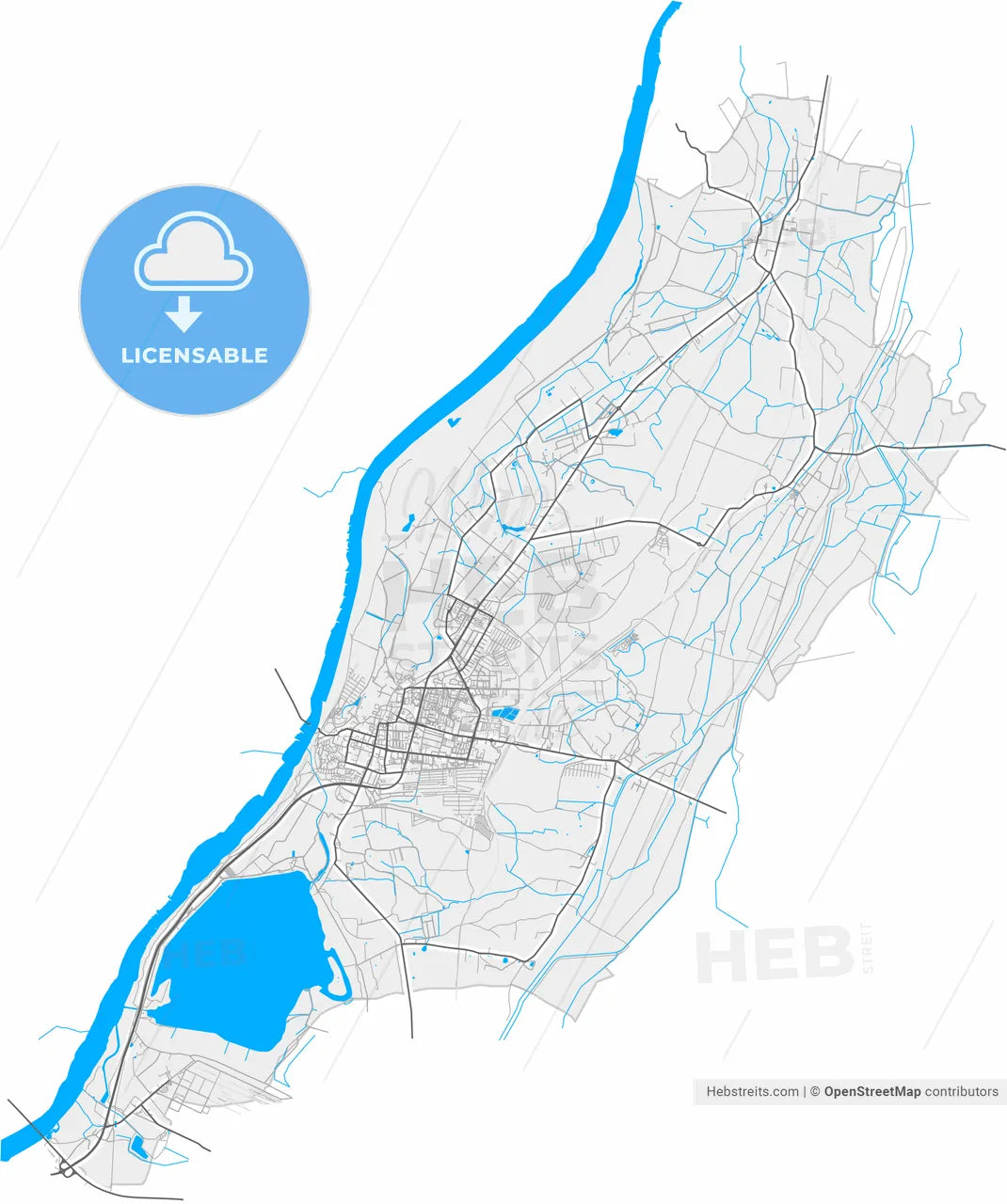 Tarnobrzeg, Podkarpackie, Poland, high resolution vector map - Instant download PDF and JPG