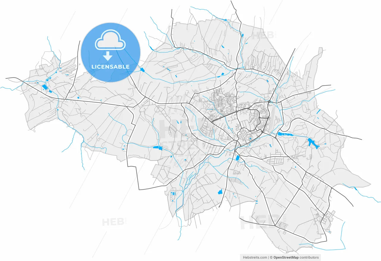 Wodzisław Śląski, Silesian, Poland, high resolution vector map - Instant download PDF and JPG
