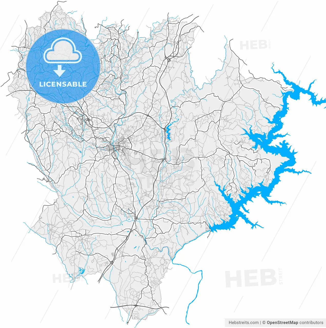 Tomar, Santarém, Portugal, high resolution vector map - Instant download PDF and JPG