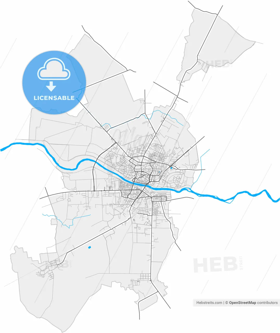 Satu Mare, Satu Mare, Romania, high resolution vector map - Instant download PDF and JPG