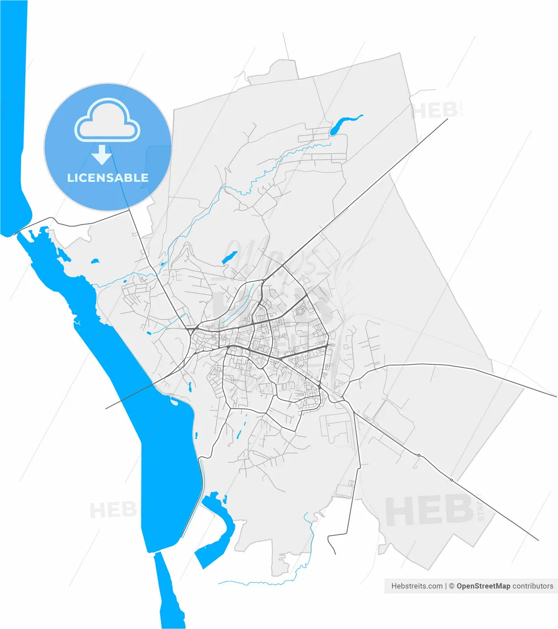 Slatina, Olt, Romania, high resolution vector map - Instant download PDF and JPG