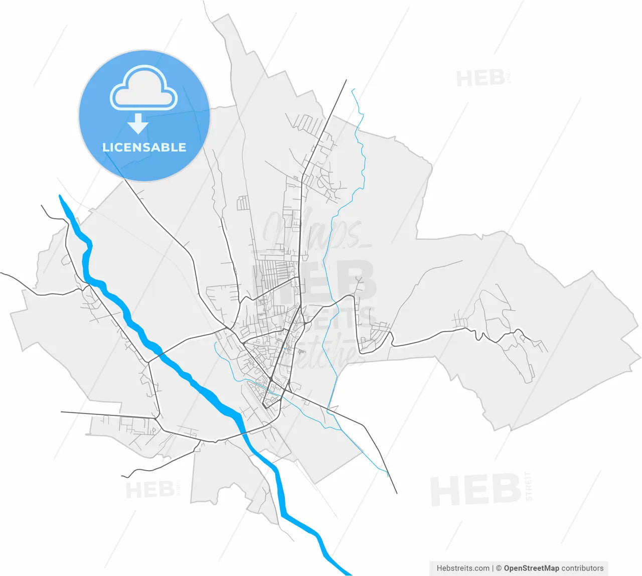 Vaslui, Vaslui, Romania, high resolution vector map - Instant download PDF and JPG