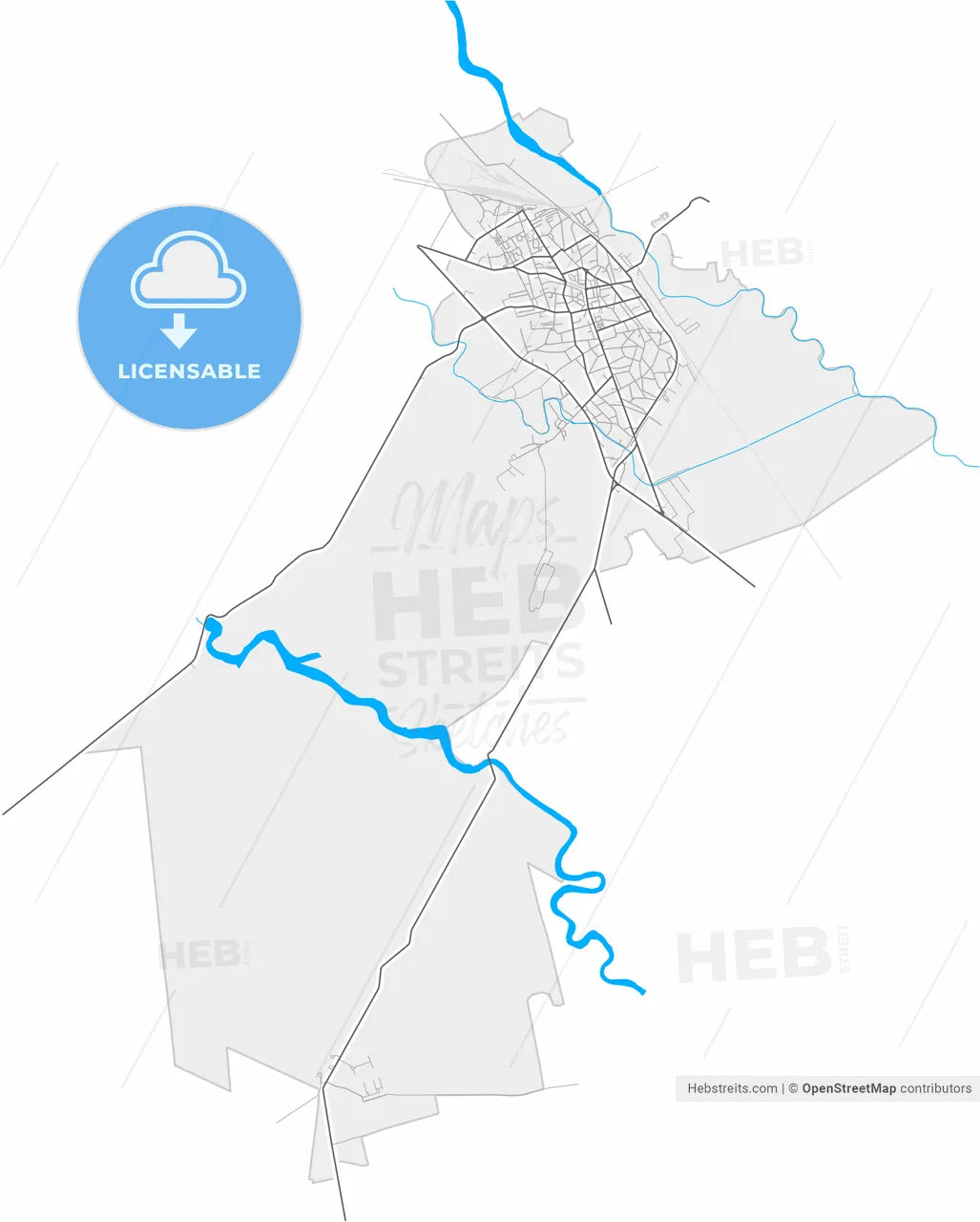 Roșiorii de Vede, Teleorman, Romania, high resolution vector map - Instant download PDF and JPG