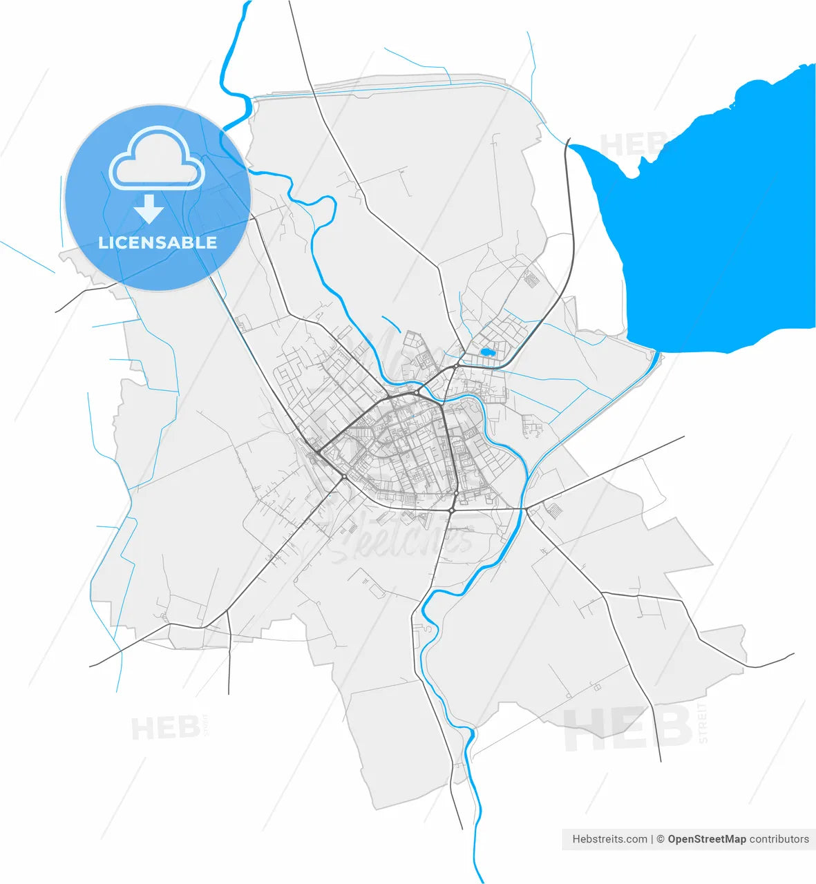 Michalovce, Košice Region, Slovakia, high resolution vector map - Instant download PDF and JPG