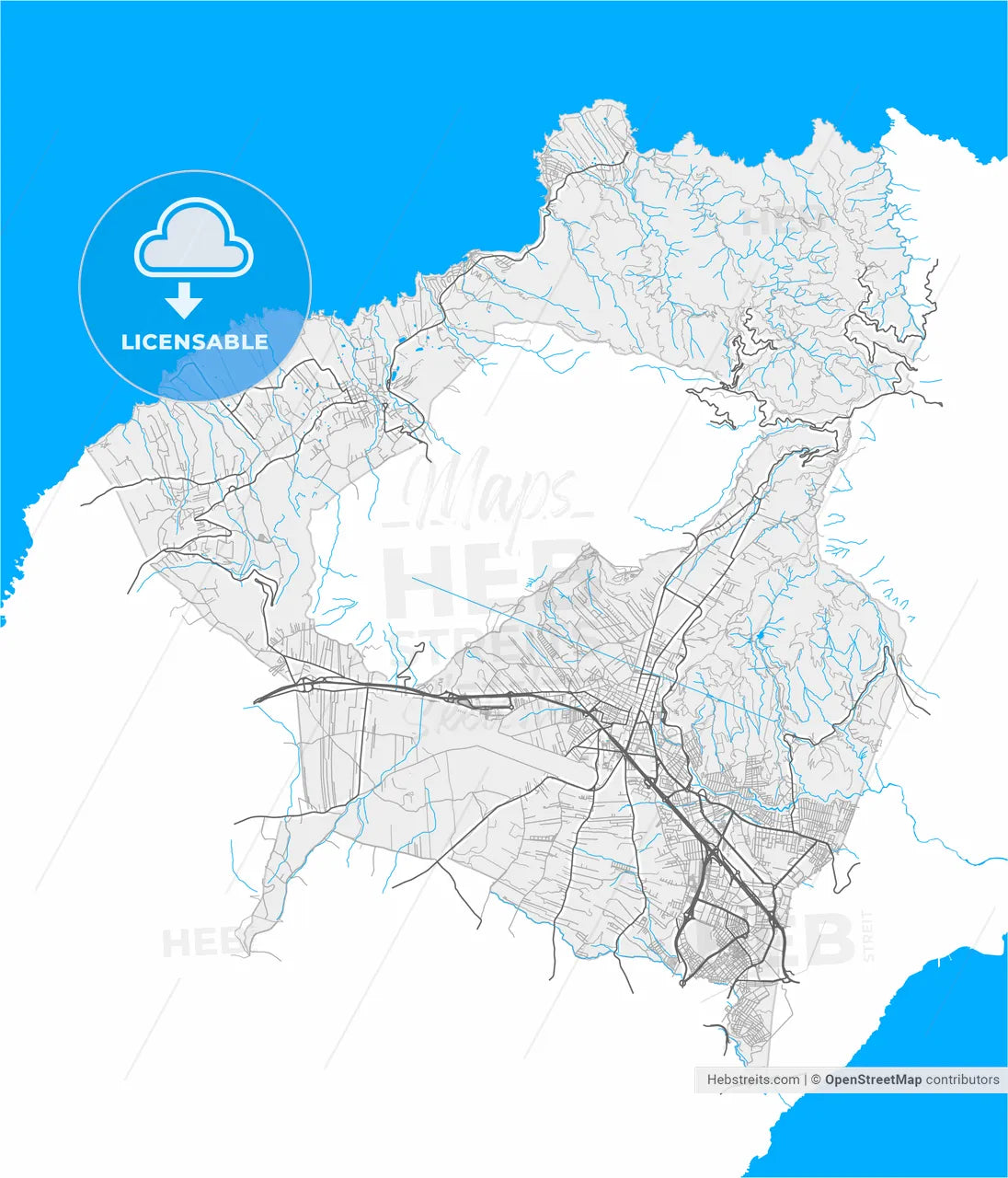 La Laguna, Santa Cruz de Tenerife, Spain, high resolution vector map - Instant download PDF and JPG