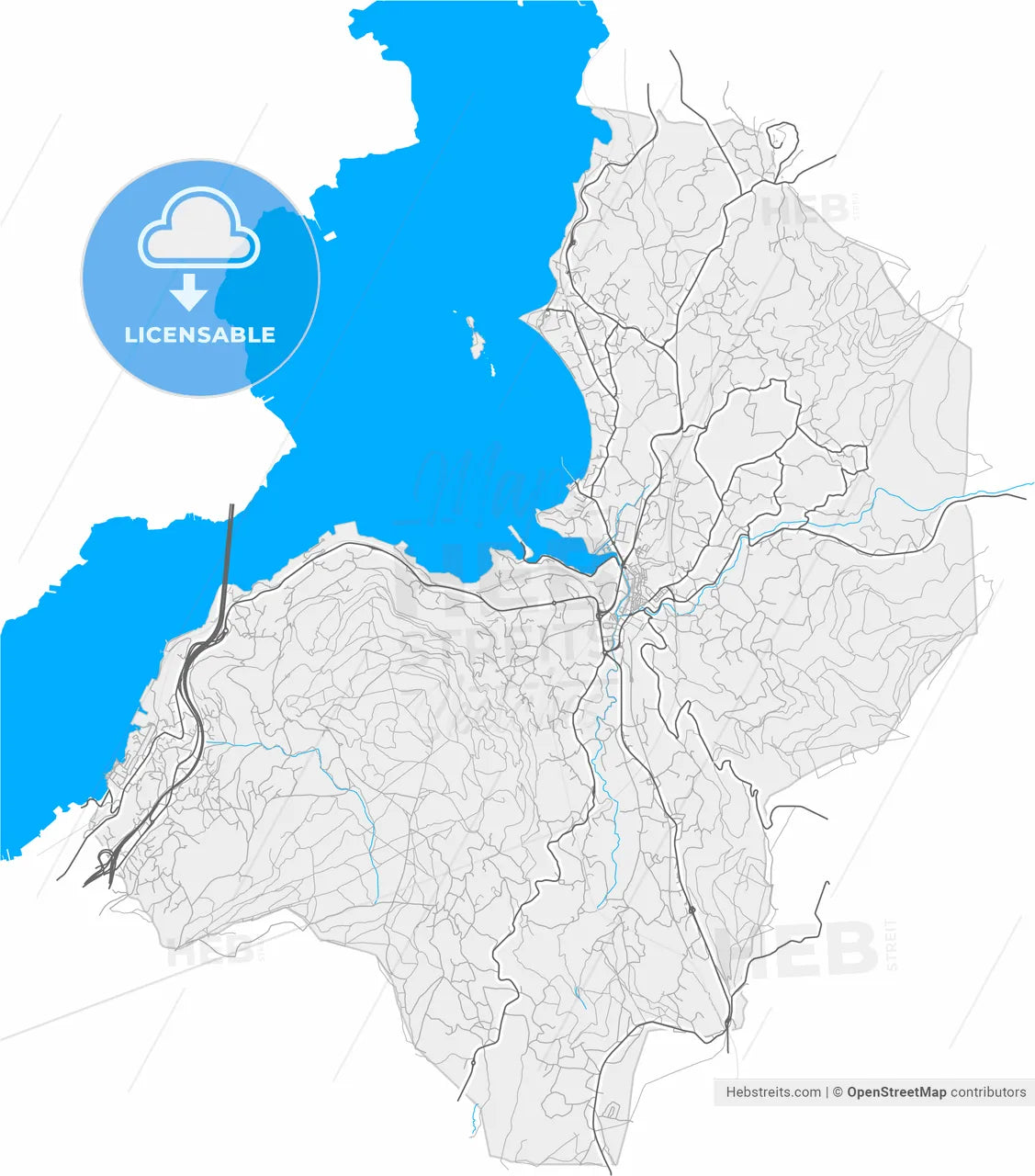 Redondela, Pontevedra, Spain, high resolution vector map - Instant download PDF and JPG