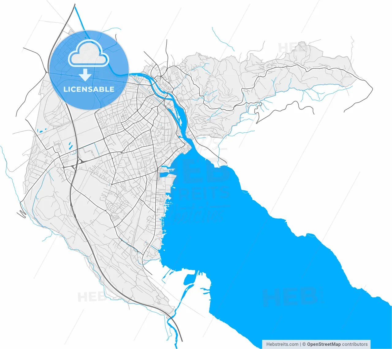 Thun, Switzerland, high resolution vector map - Instant download PDF and JPG
