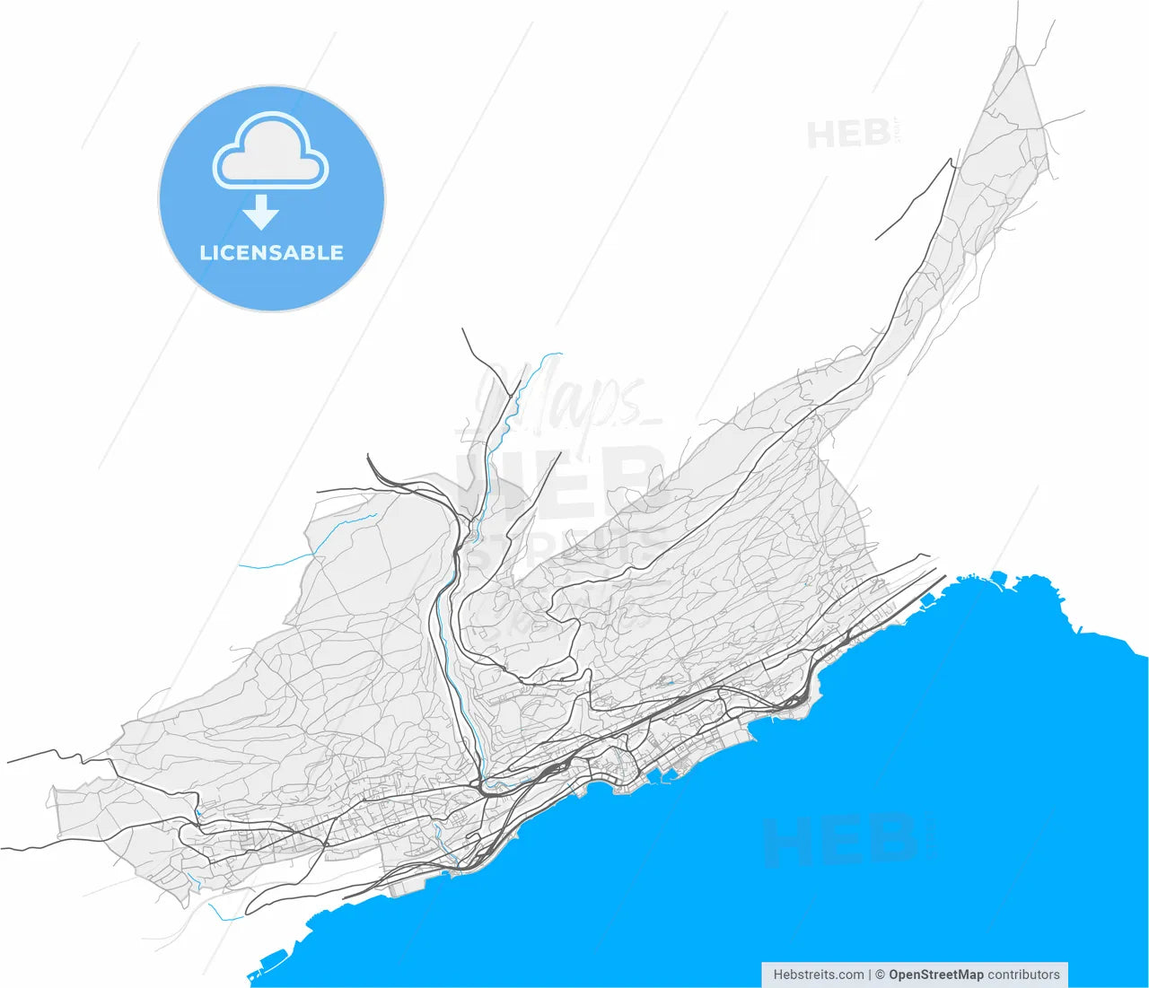 Neuchâtel, Switzerland, high resolution vector map - Instant download PDF and JPG
