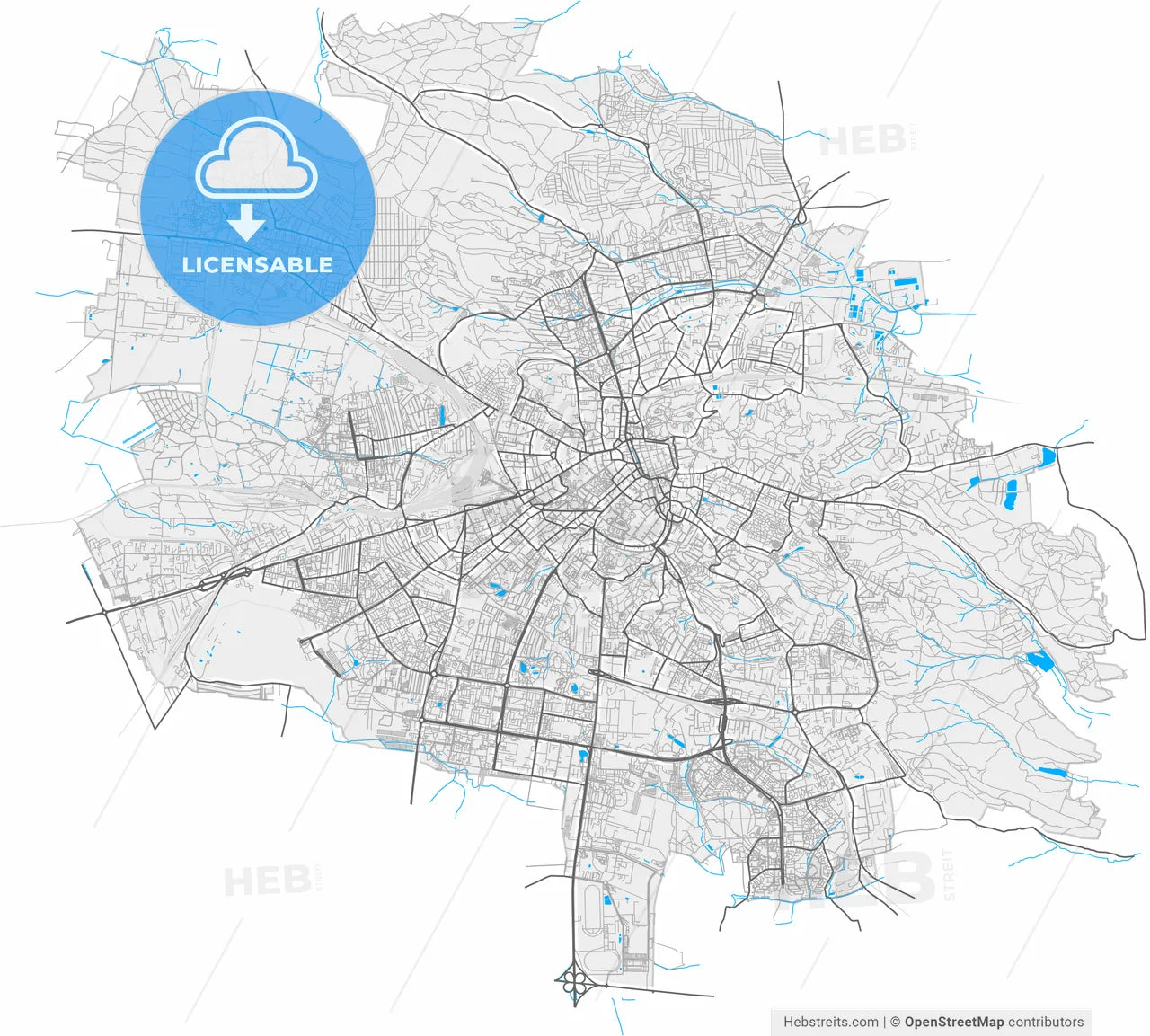 Lviv, Lviv Oblast, Ukraine, high resolution vector map - Instant download PDF and JPG