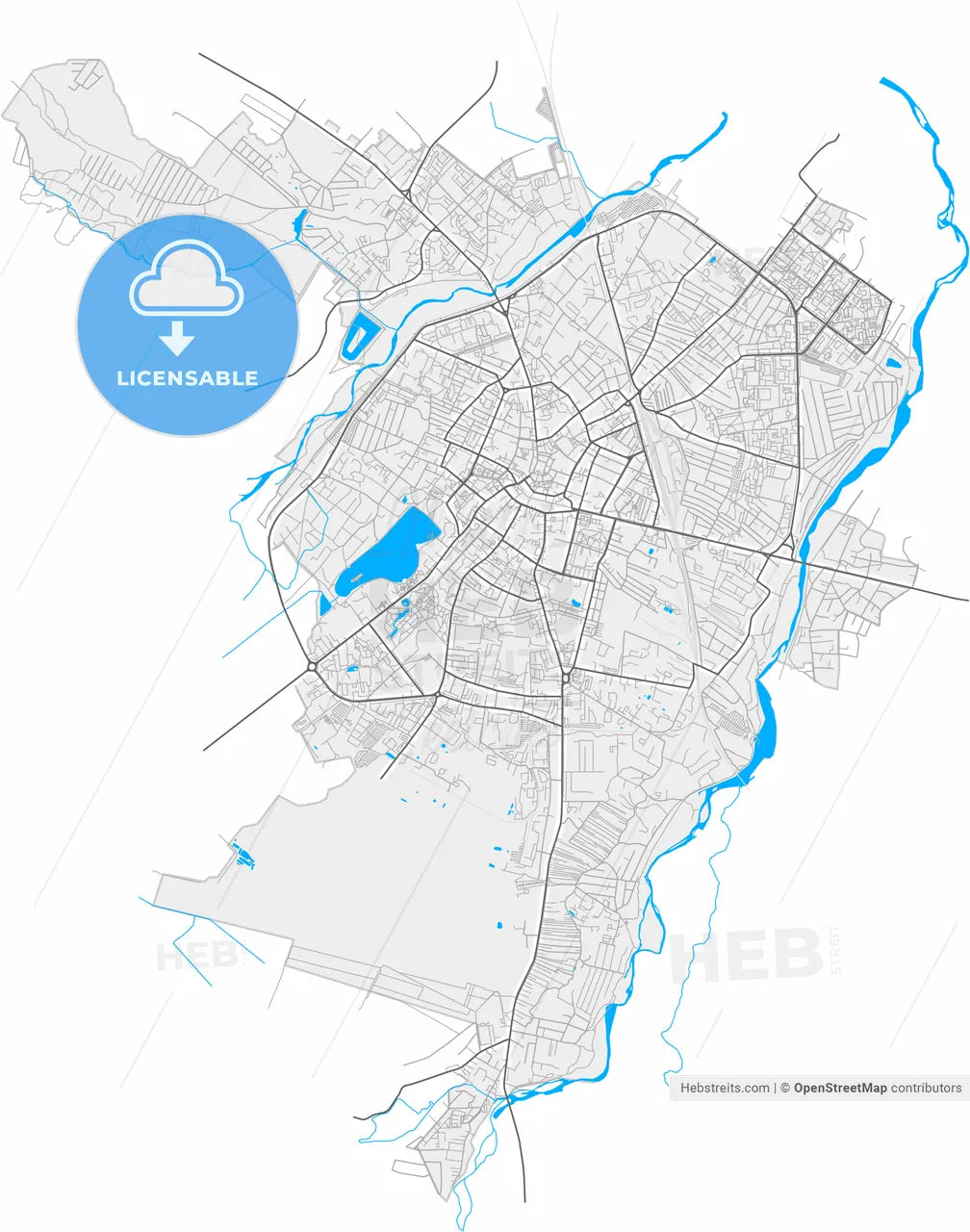 Ivano-Frankivsk, Ivano-Frankivsk Oblast, Ukraine, high resolution vector map - Instant download PDF and JPG