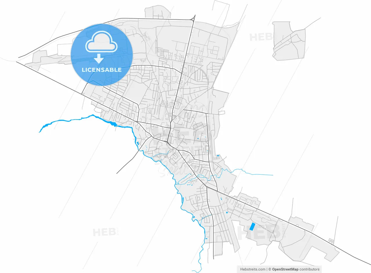 Volodymyr-Volynskyi, Volyn Oblast, Ukraine, high resolution vector map - Instant download PDF and JPG