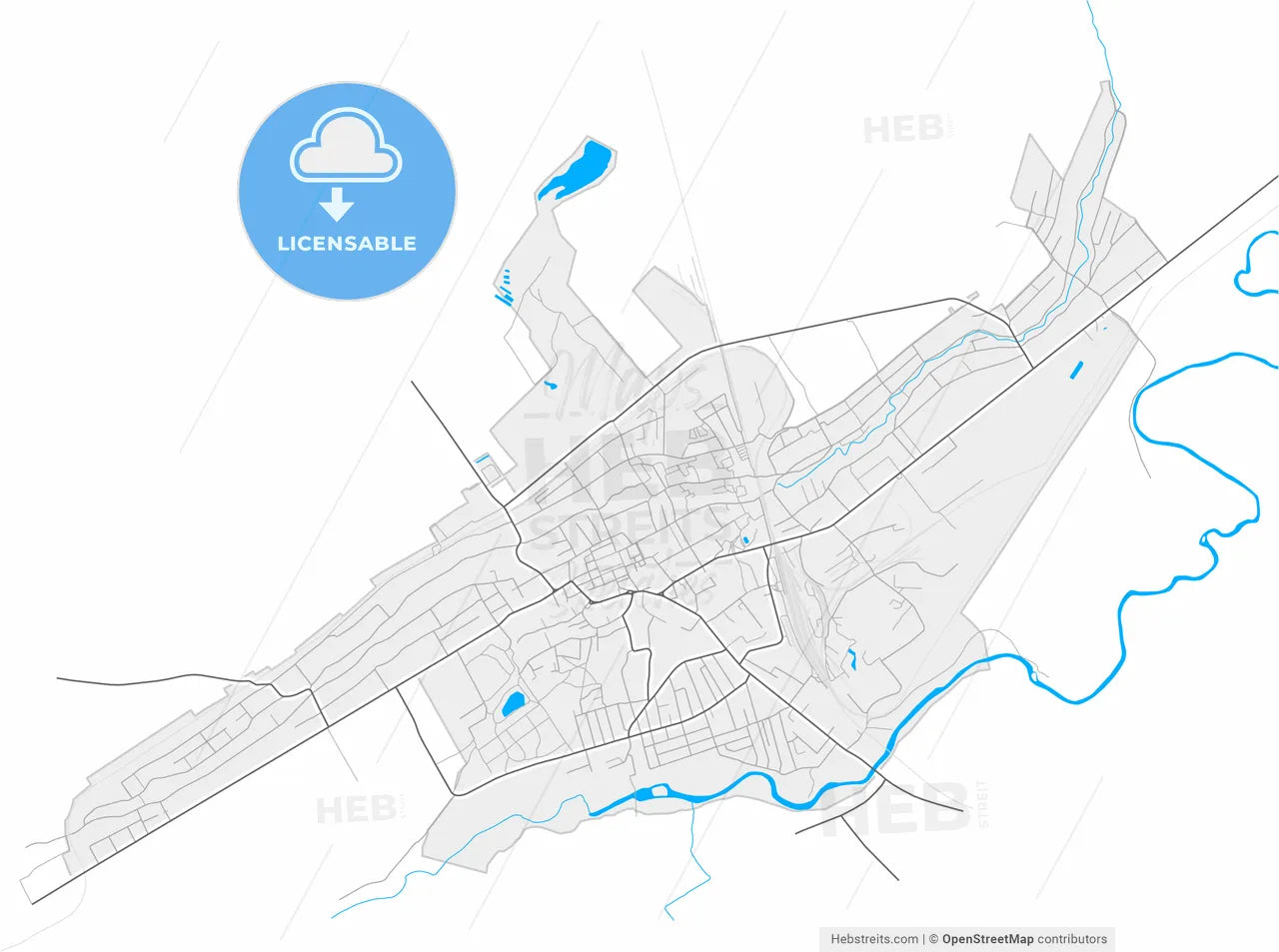 Sambir, Lviv Oblast, Ukraine, high resolution vector map - Instant download PDF and JPG
