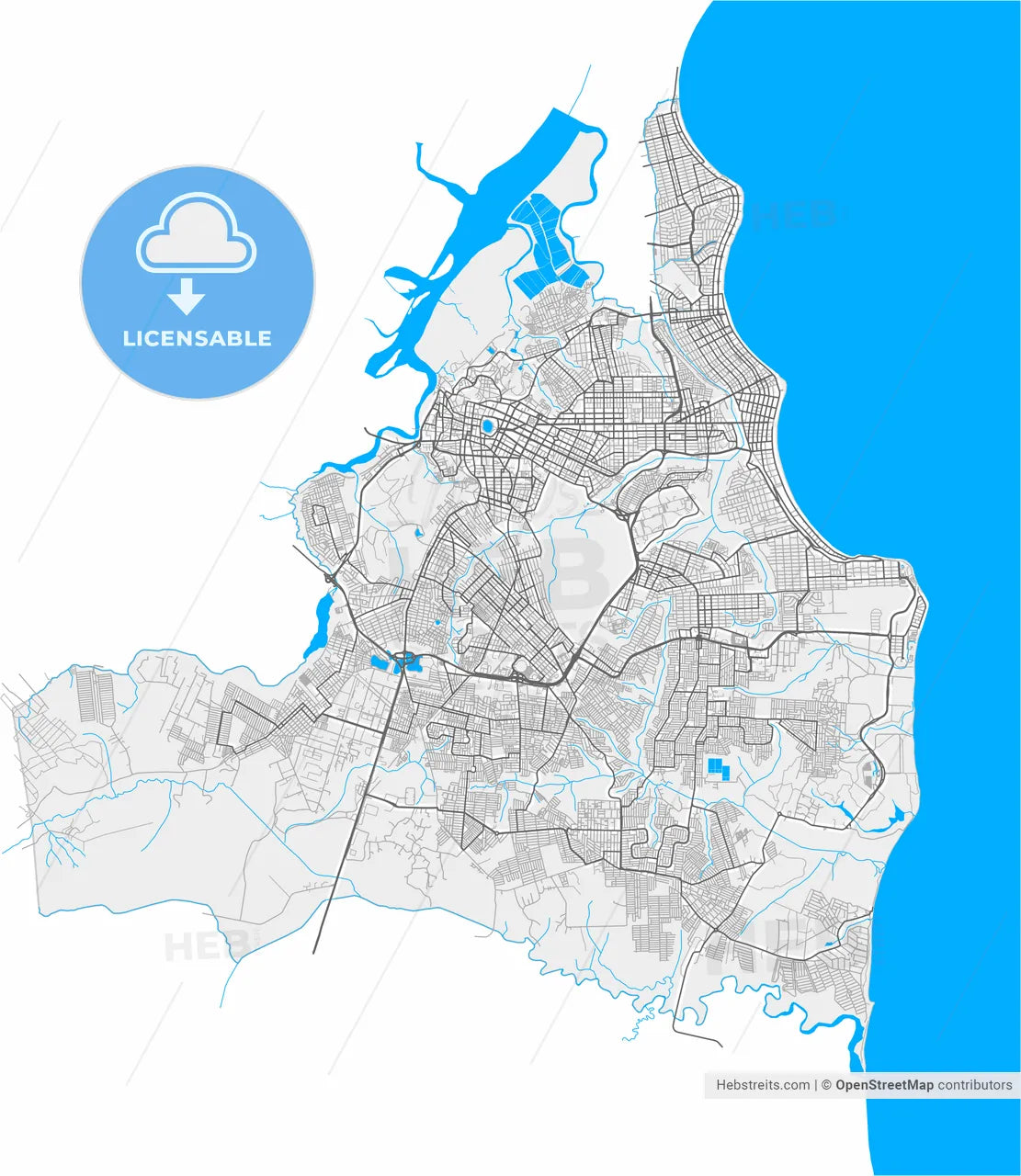 Joao Pessoa, Brazil, high resolution vector map - Instant download PDF and JPG