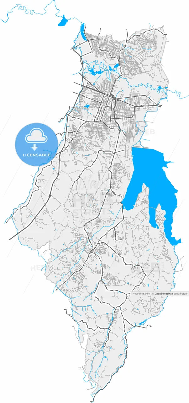 Suzano, Brazil, high resolution vector map - Instant download PDF and JPG