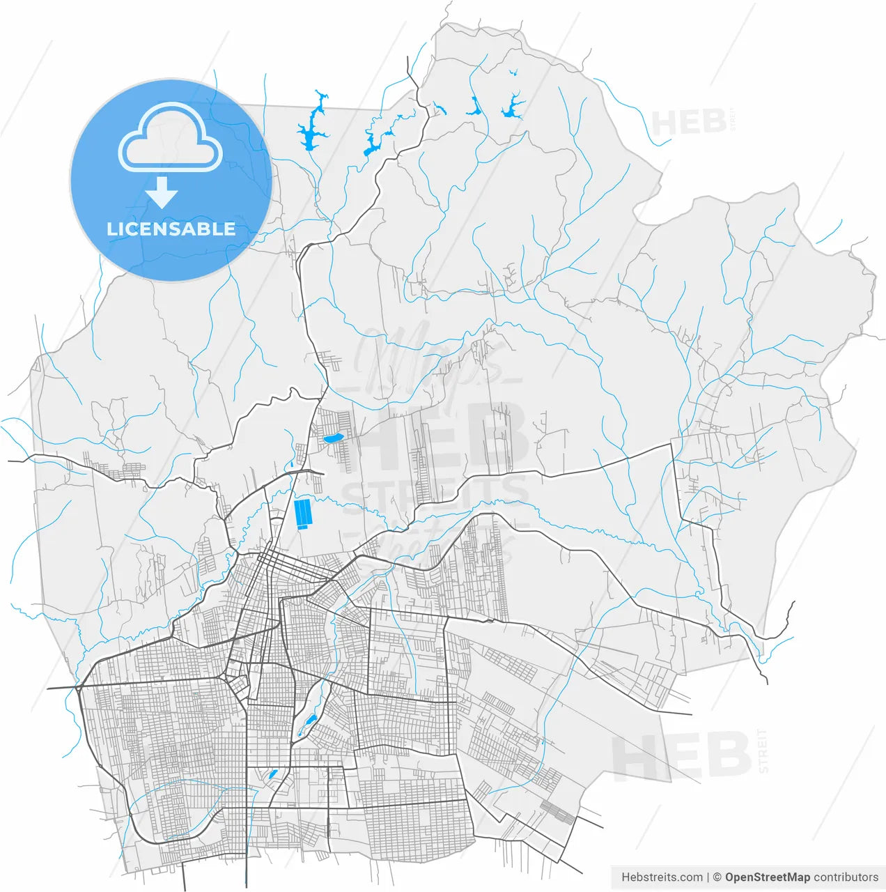 Juazeiro do Norte, Brazil, high resolution vector map - Instant download PDF and JPG