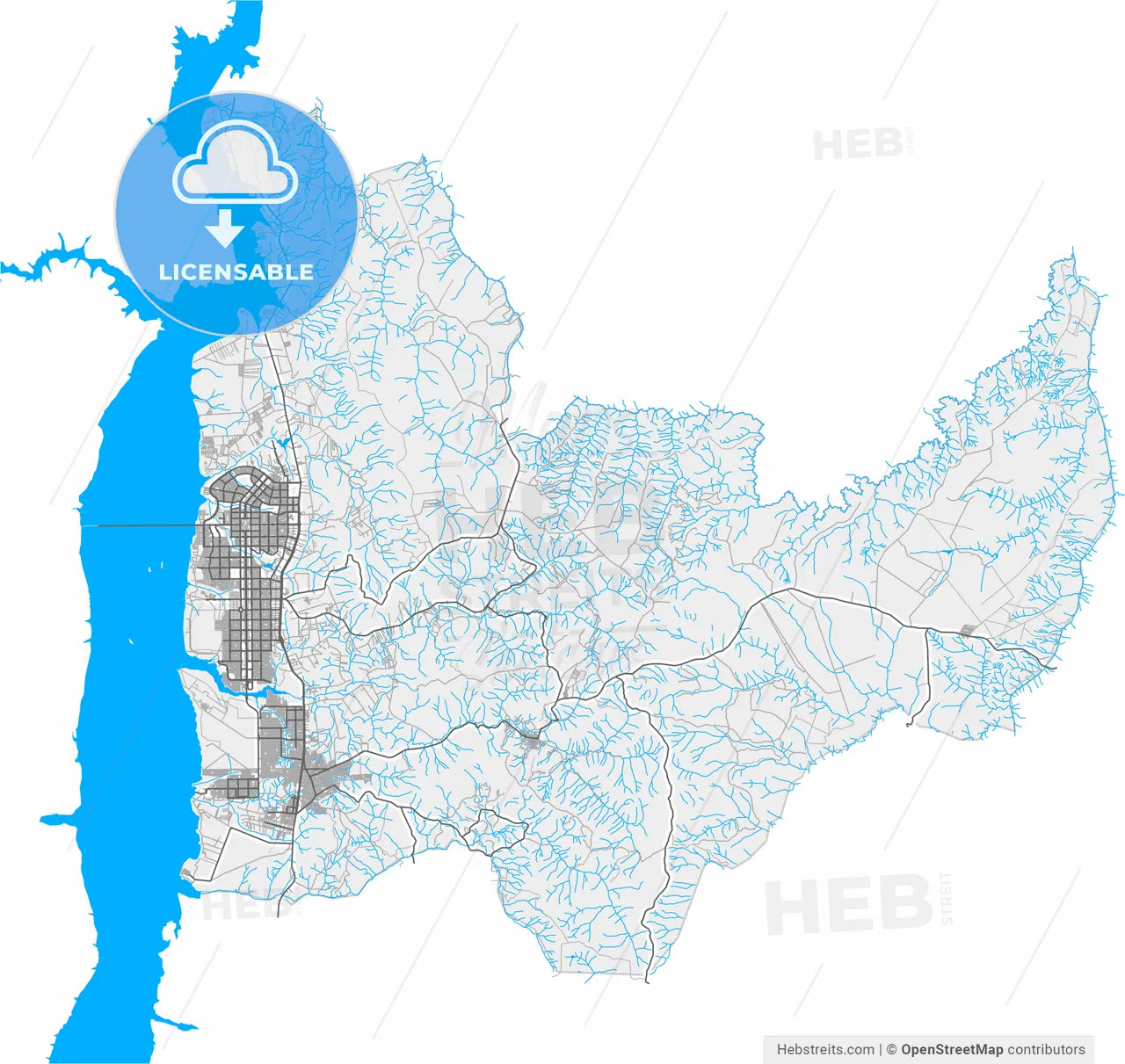 Palmas, Brazil, high resolution vector map - Instant download PDF and JPG