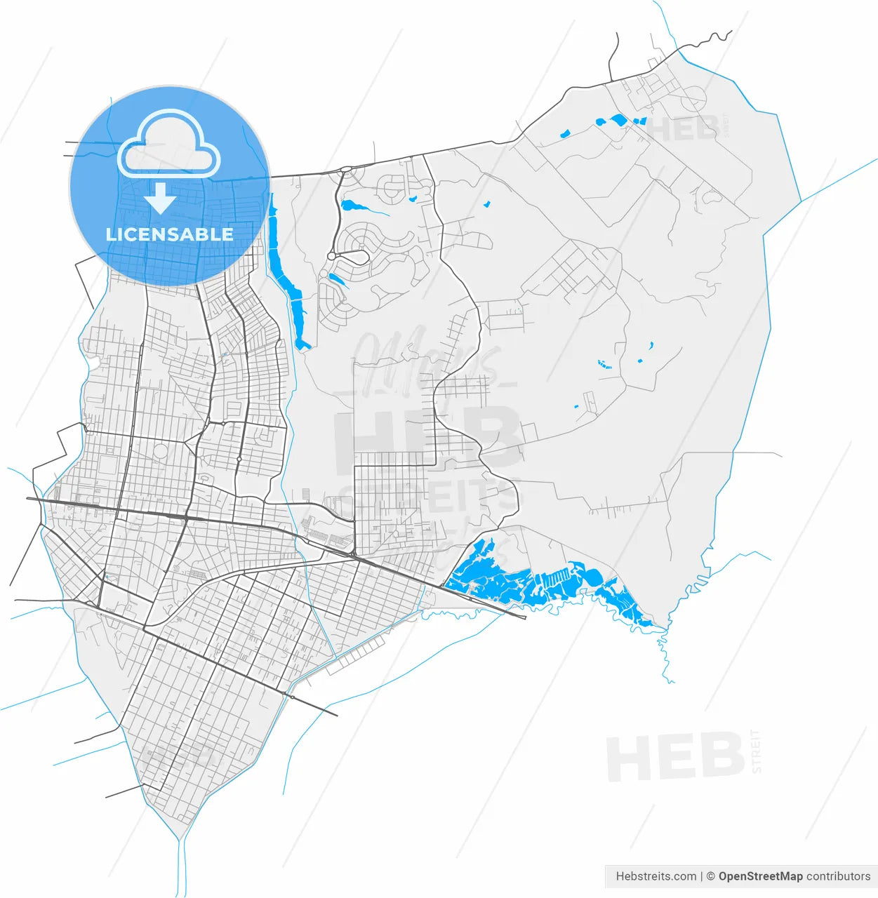 Pinhais, Brazil, high resolution vector map - Instant download PDF and JPG