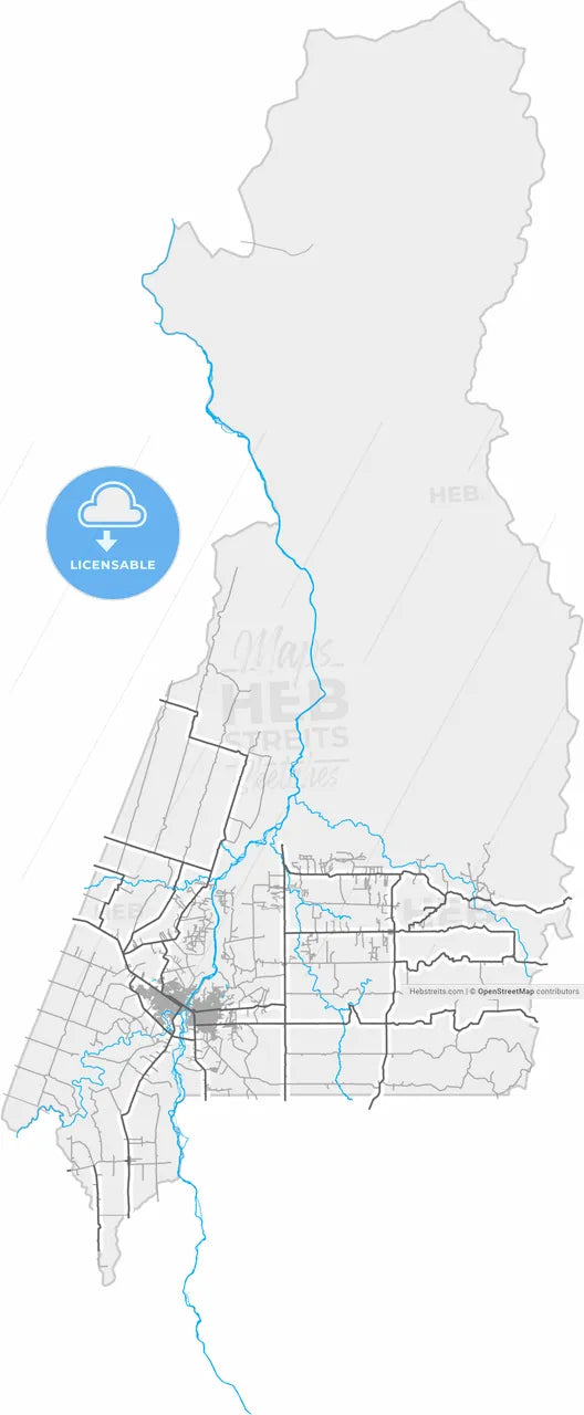 Ji Parana, Brazil, high resolution vector map - Instant download PDF and JPG