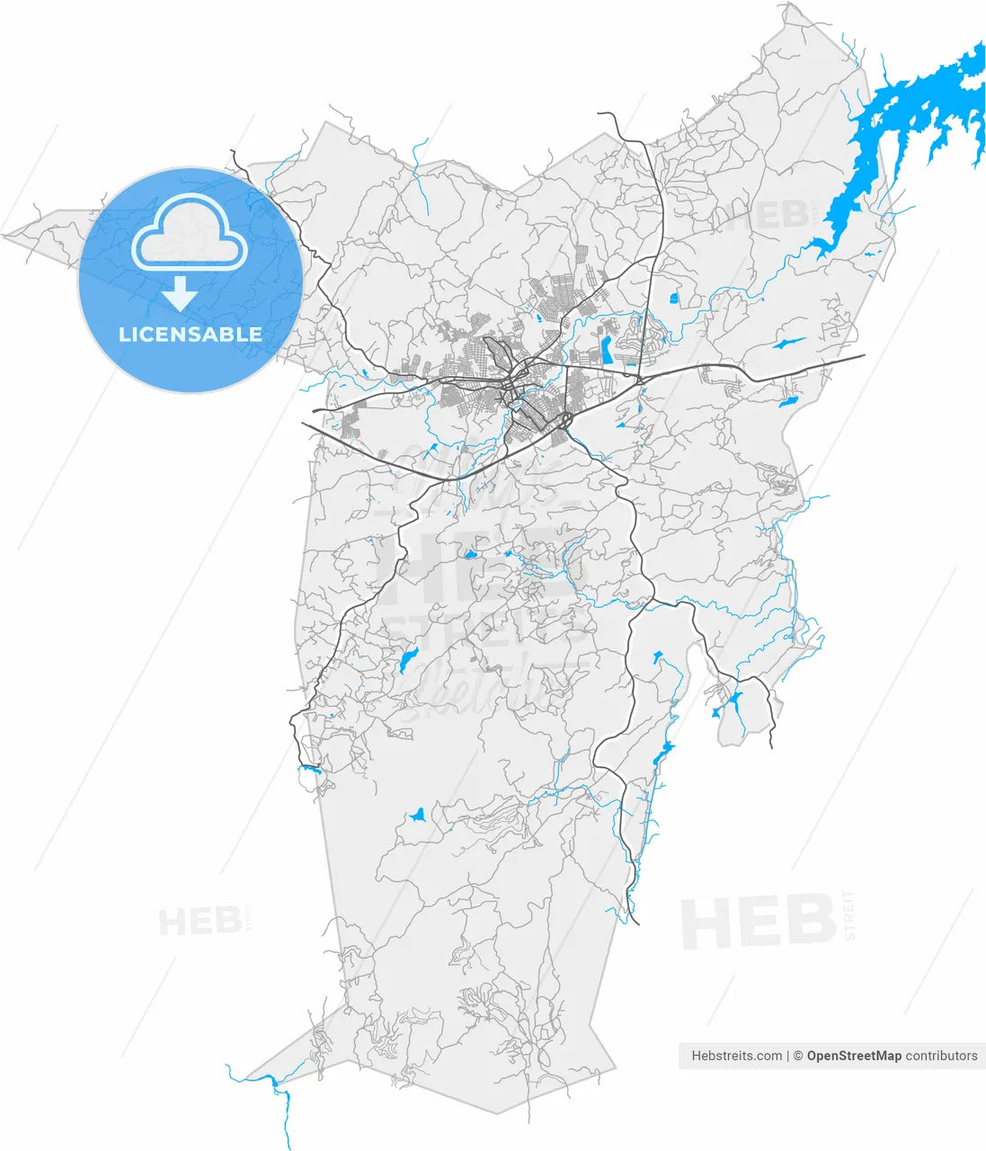 Vitoria de Santo Antao, Brazil, high resolution vector map - Instant download PDF and JPG