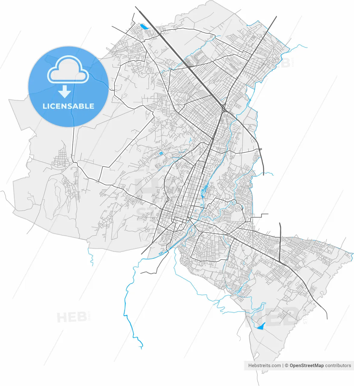 Cuautla, Morelos, Mexico, high resolution vector map - Instant download PDF and JPG