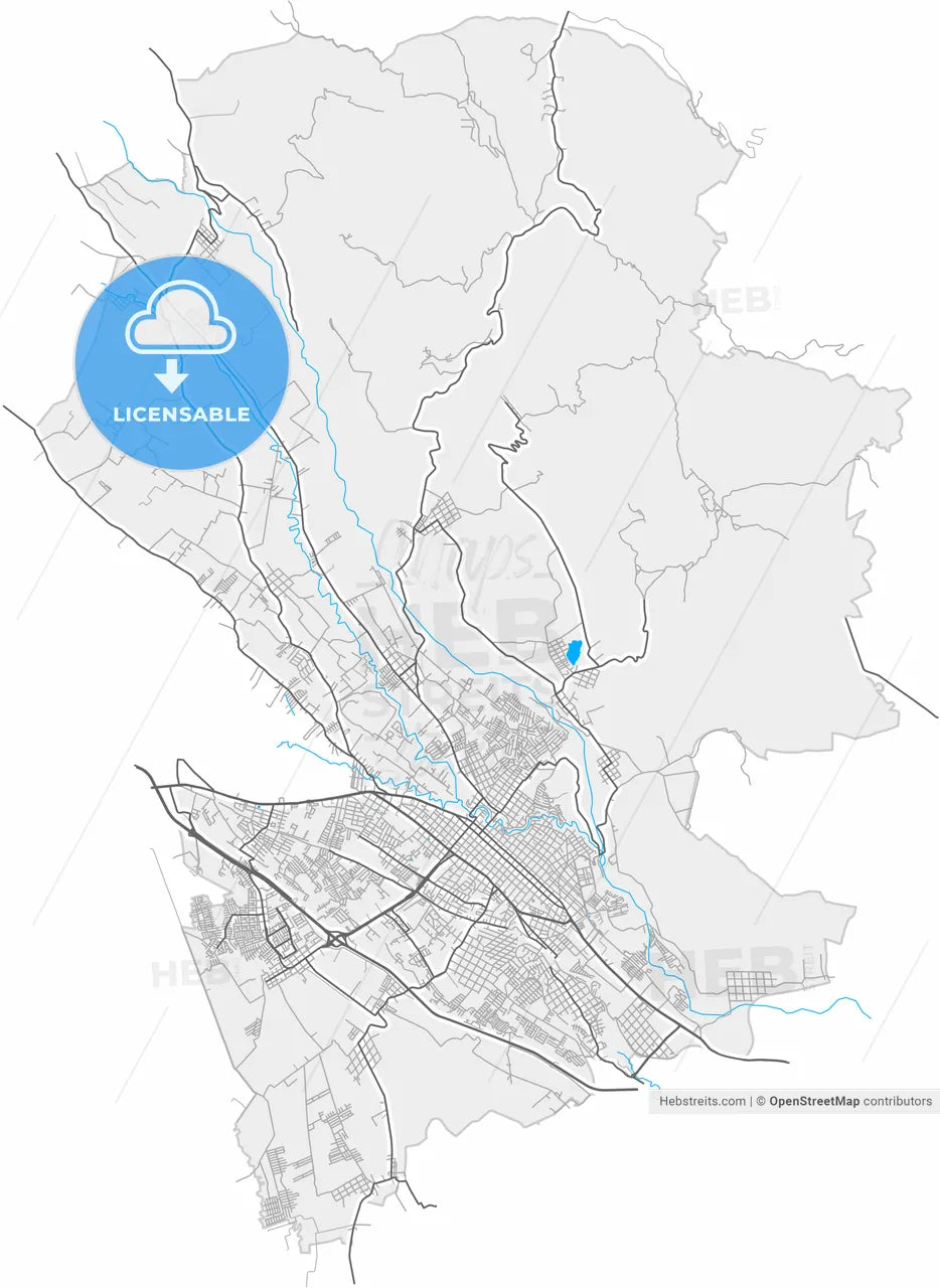Córdoba, Veracruz, Mexico, high resolution vector map - Instant download PDF and JPG
