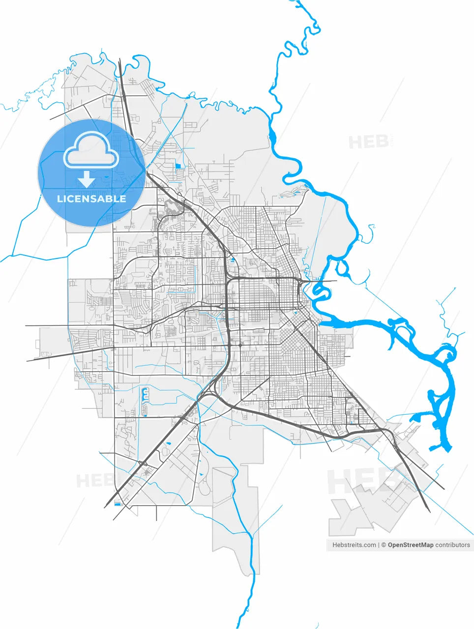 Beaumont, Texas, United States, high resolution vector map - Instant download PDF and JPG