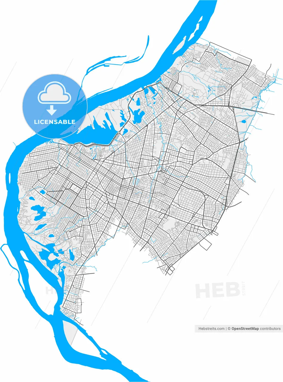 Asuncion, Paraguay, high resolution vector map - Instant download PDF and JPG