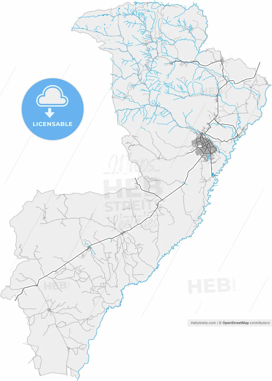 Valledupar, Colombia, high resolution vector map - Instant download PDF and JPG